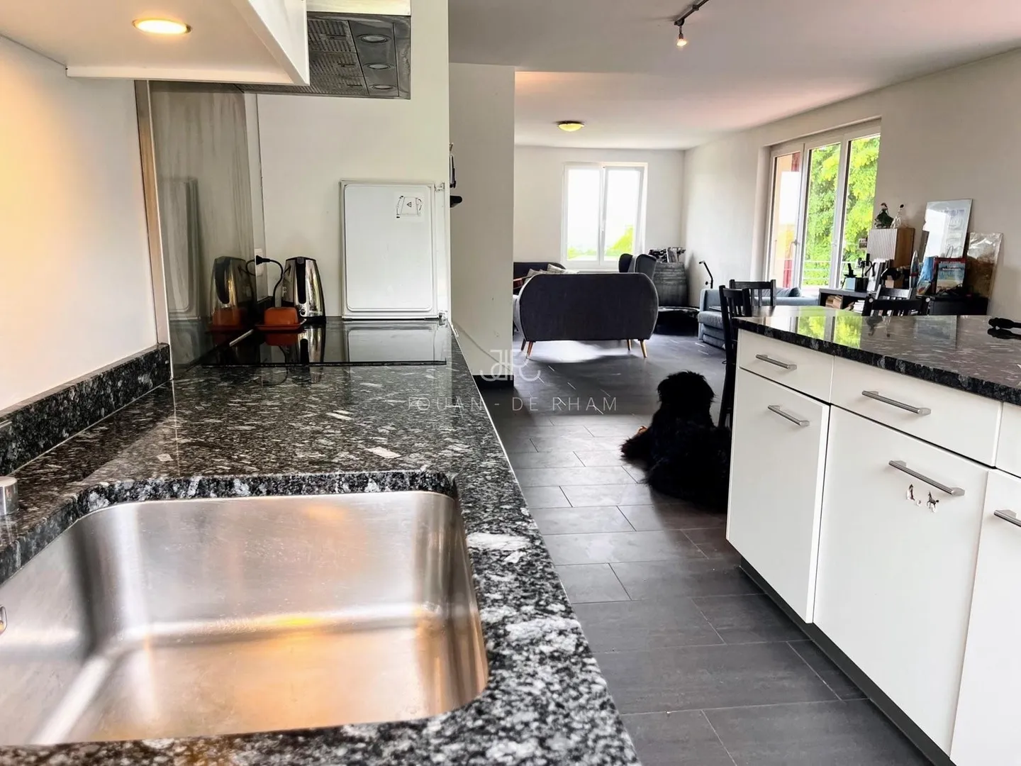 Ampio appartamento con vista lago e 4 camere da letto in affitto a Chataigneriaz - Foto 3 di 12