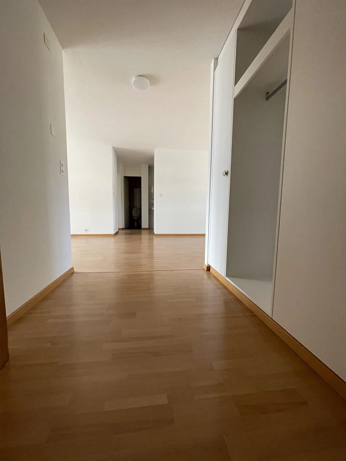 1105 1021 Appartement 4.5 pièces Riffigstrasse 32 - Photo 3 sur 20