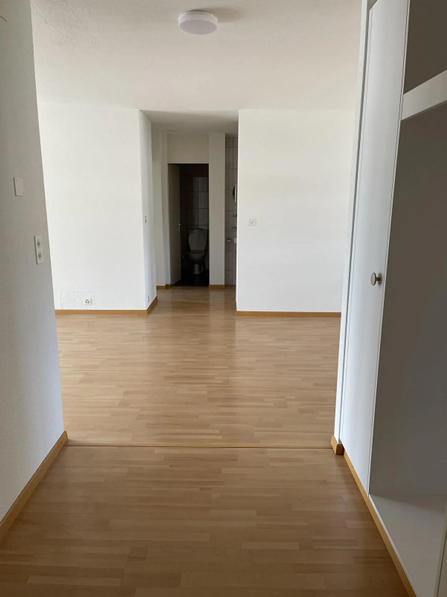 1105 1021 Appartement 4.5 pièces Riffigstrasse 32 - Photo 4 sur 20