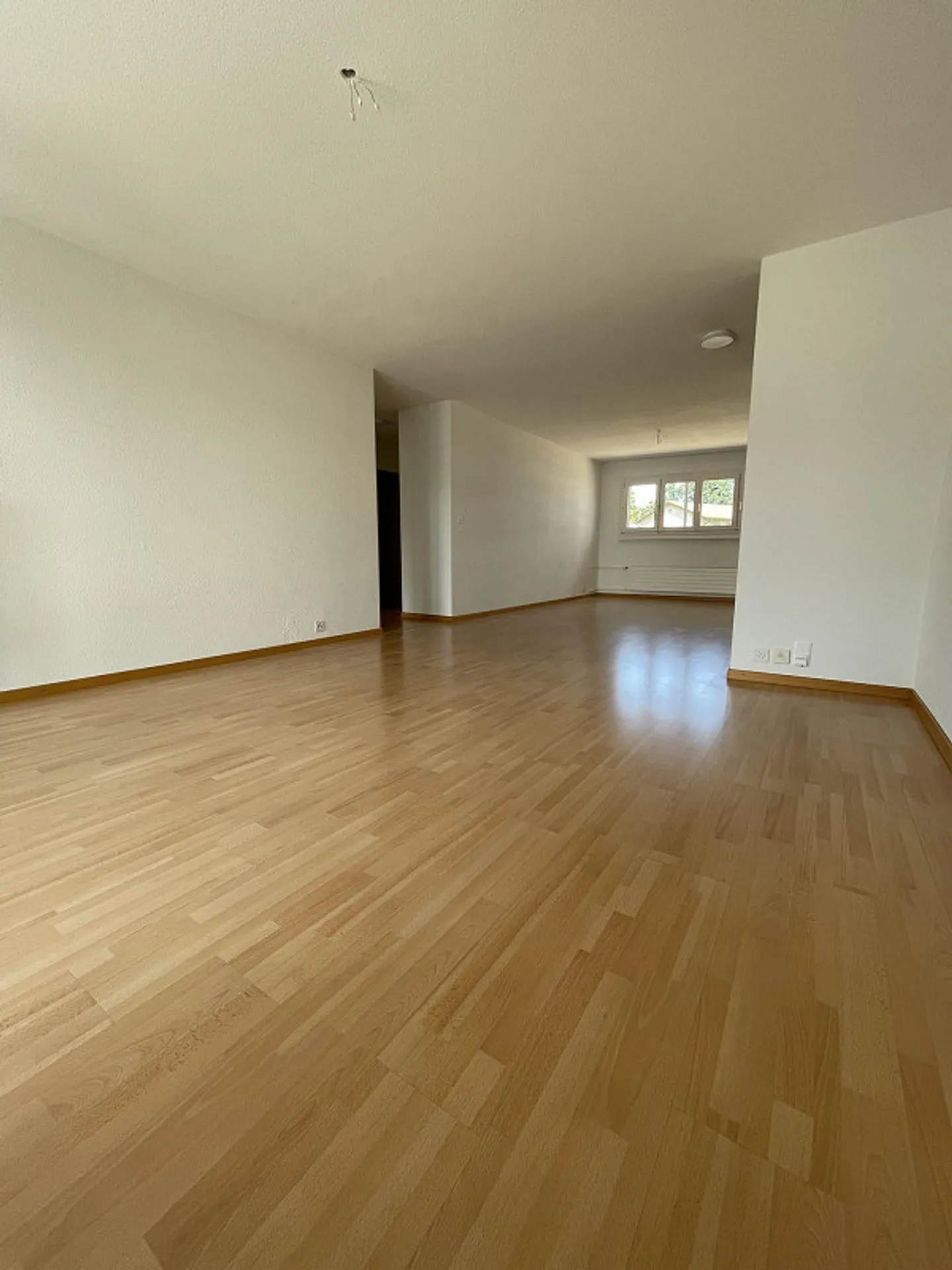 1105 1021 Appartement 4.5 pièces Riffigstrasse 32 - Photo 11 sur 20