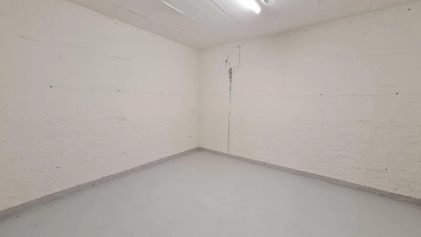 Sie brauchen Platz! - Wir haben ihn! - diverse Grössen - Foto 3 von 3