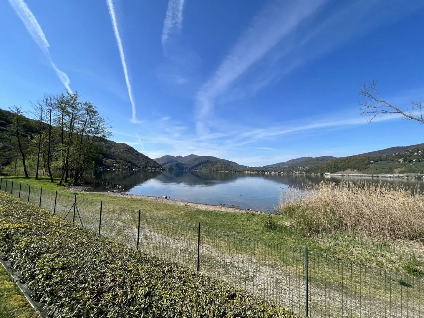 LUGANO-MUZZANO, LAKE FRONT 2.5 ROOM APARTMENT WITH GARDEN - Photo 4 of 13