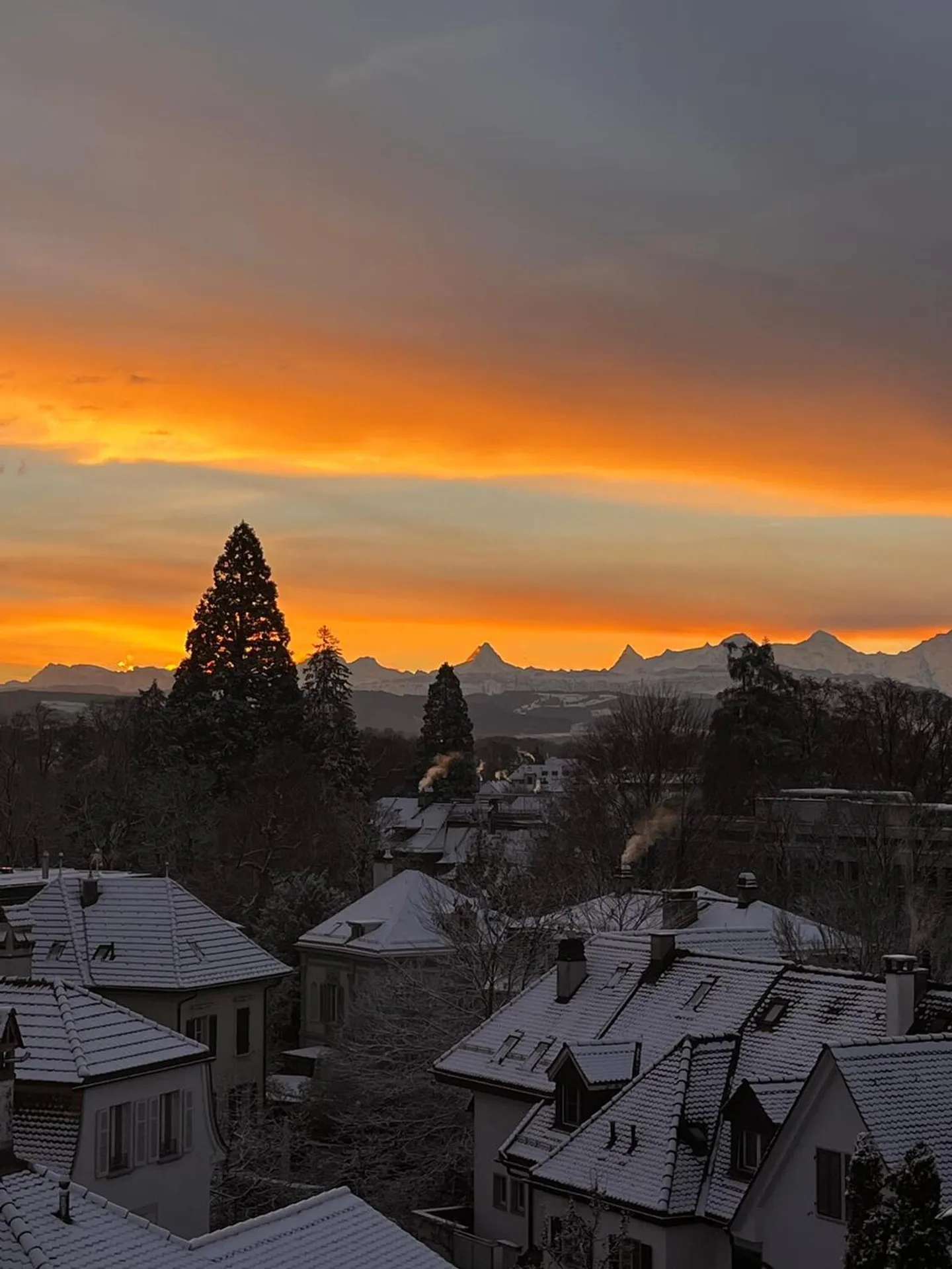 2½ ROOM ATTIC APARTMENT IN BERN - OBSTBERG/SCHOSSHALDE, FURNISHED, TEMPORARY - Photo 10 of 10