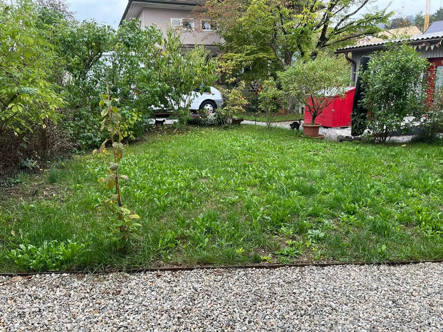 Charmantes 6-Zimmer-Haus mit Garten am Bach – 5 Min. zum Bahnhof - Photo 3 of 23