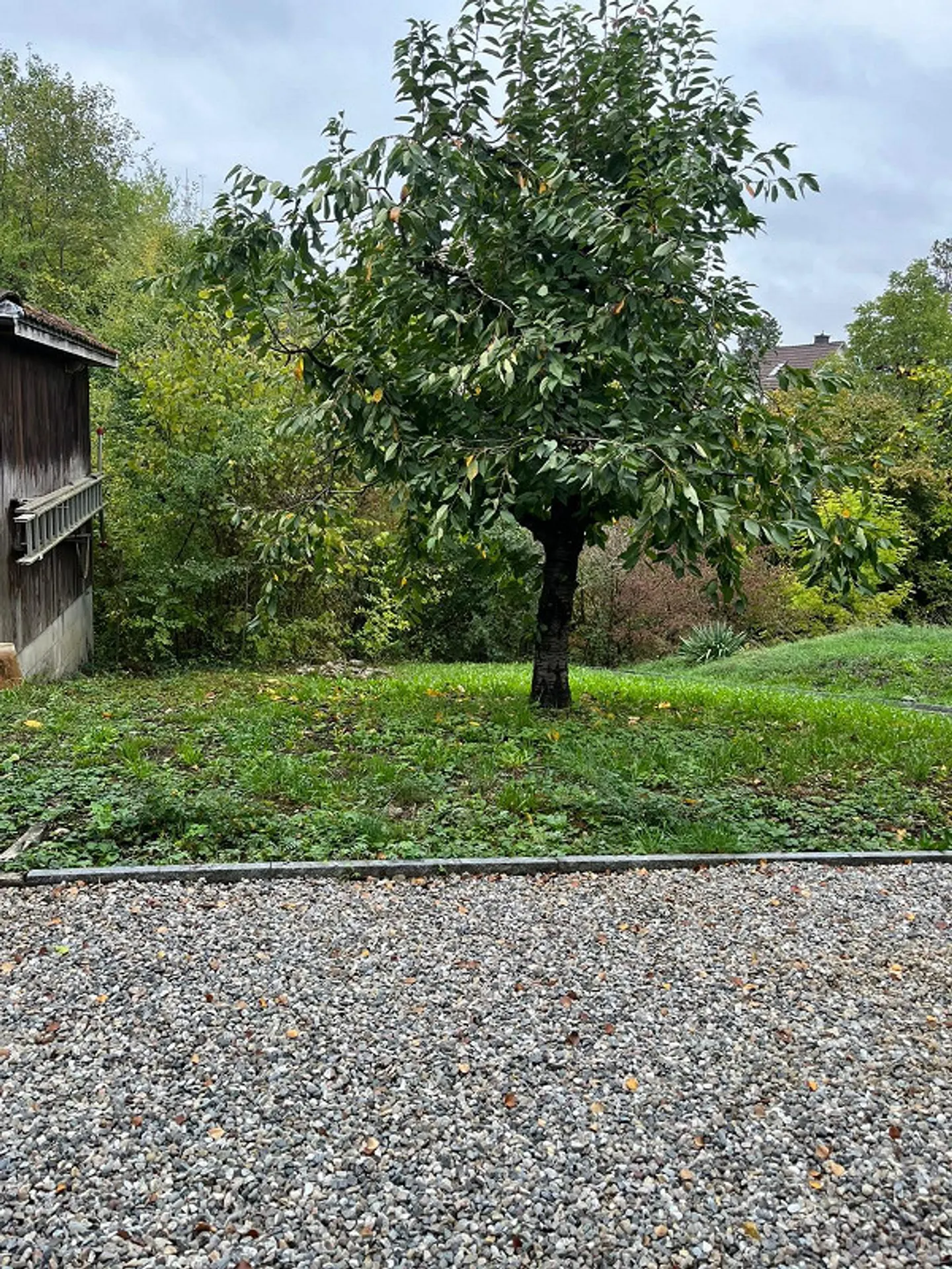 Charmantes 6-Zimmer-Haus mit Garten am Bach – 5 Min. zum Bahnhof - Photo 9 of 23