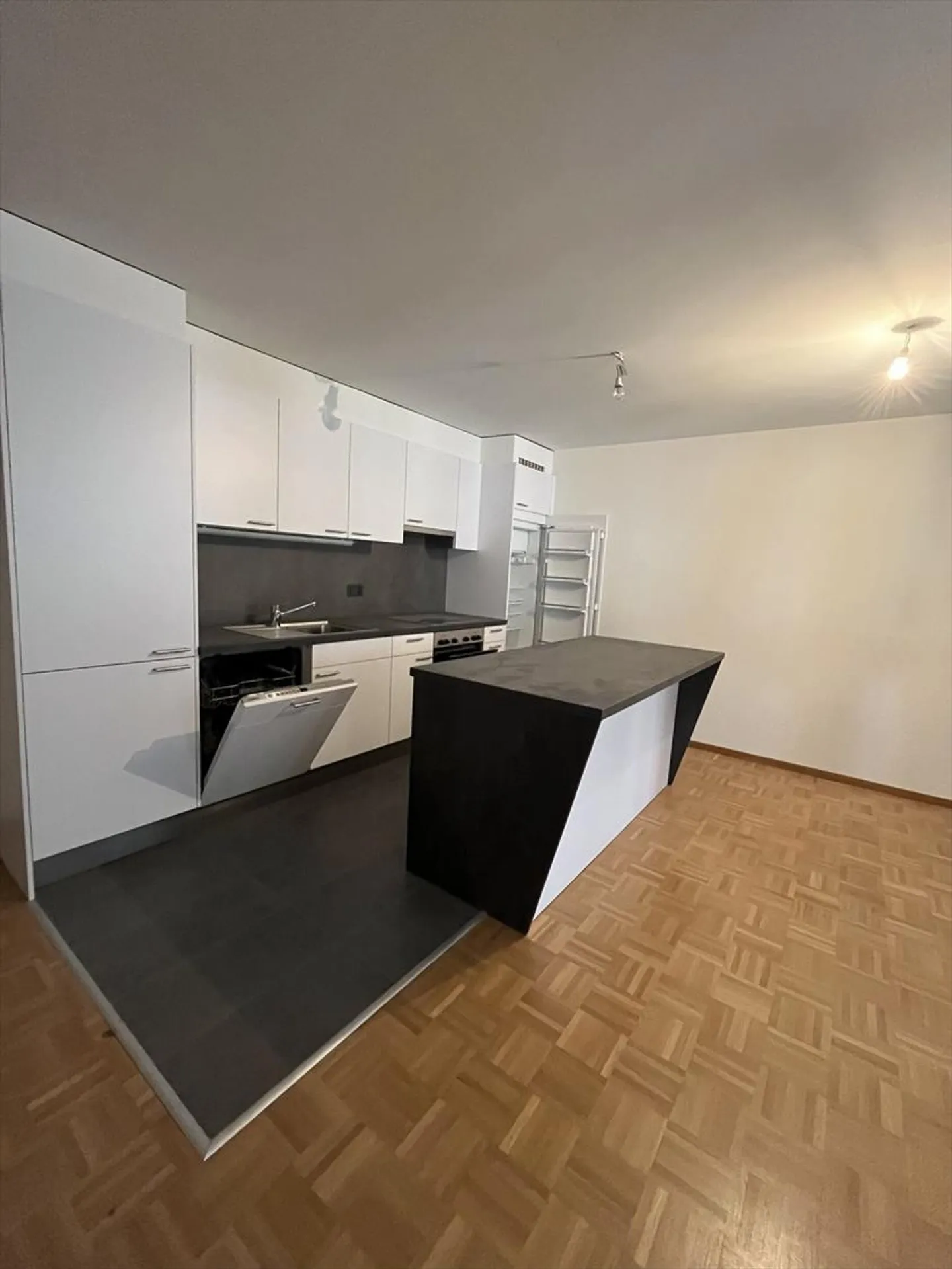 LARGE 3.5 ROOM APARTMENT WITH ALL COMFORT AND FIREPLACE! - Photo 2 of 8