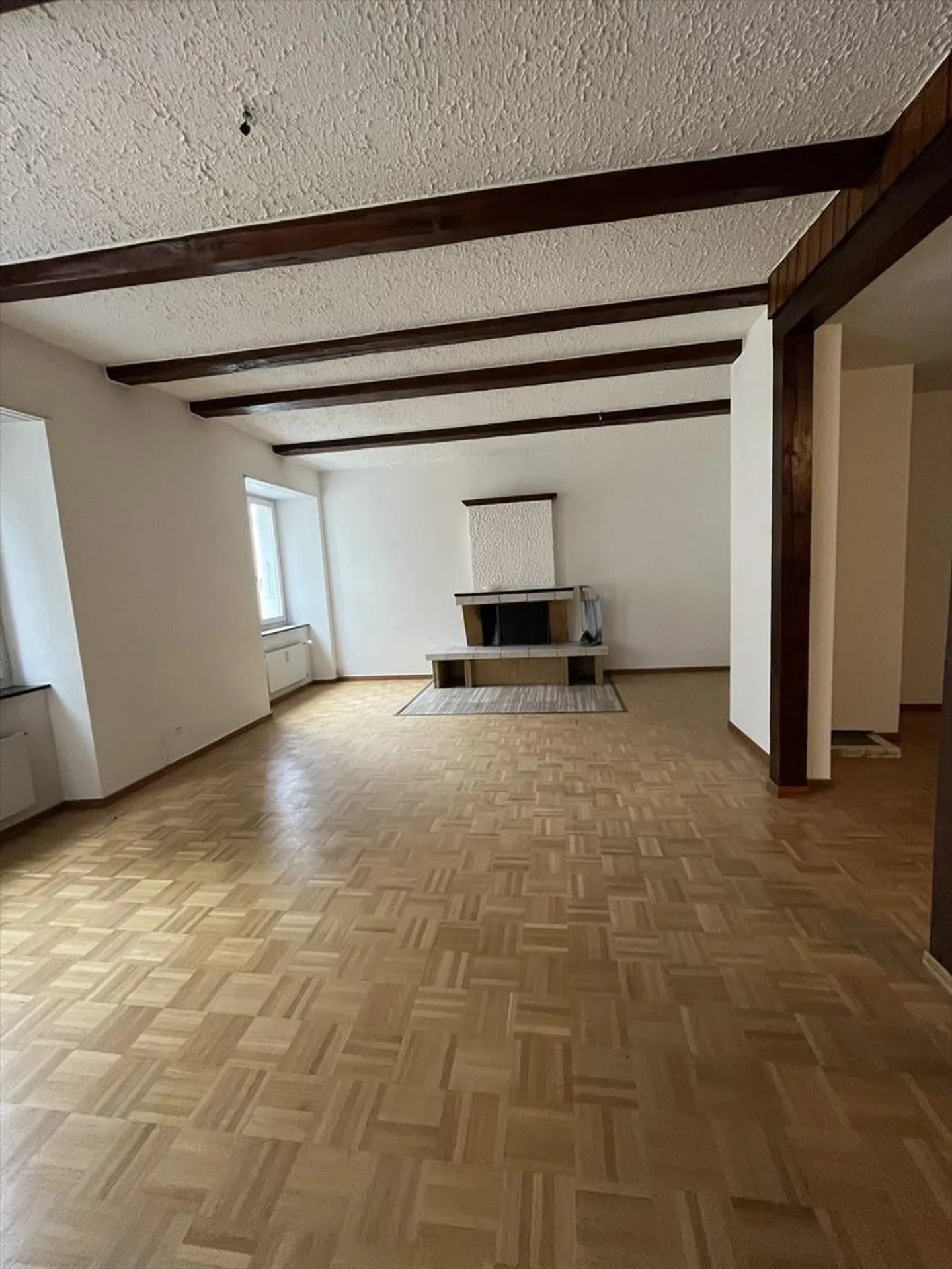 LARGE 3.5 ROOM APARTMENT WITH ALL COMFORT AND FIREPLACE! - Photo 5 of 8
