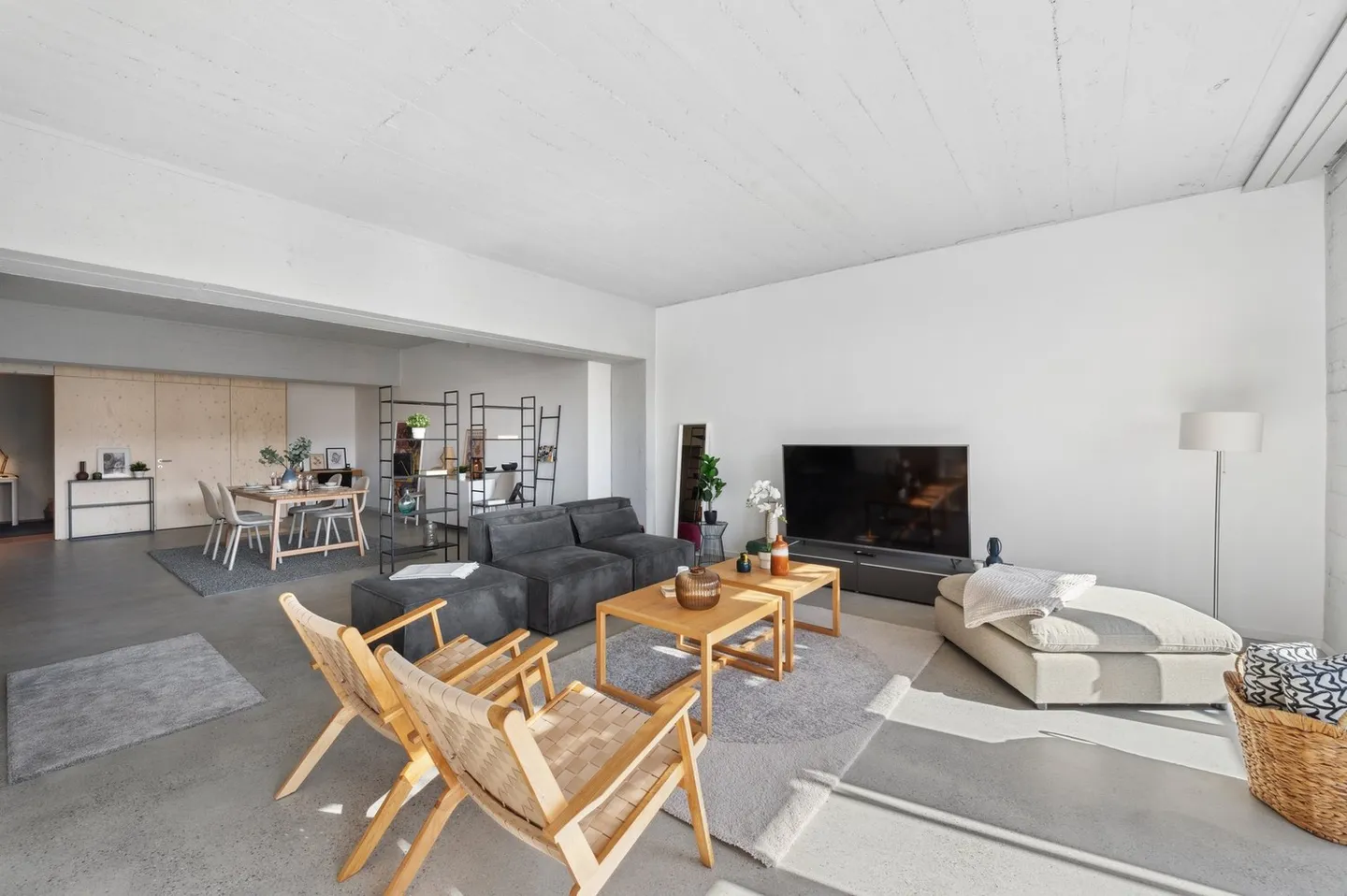 Loft 1 stanza - Foto 4 di 12