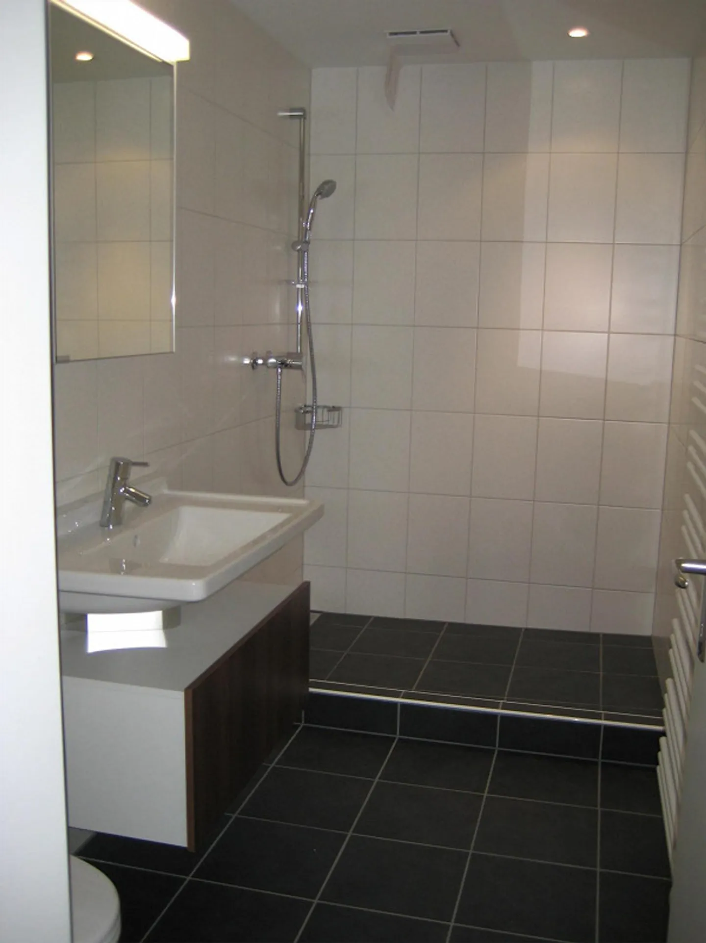 Vivere nel Zumikon fiscalmente vantaggioso - Foto 10 di 12