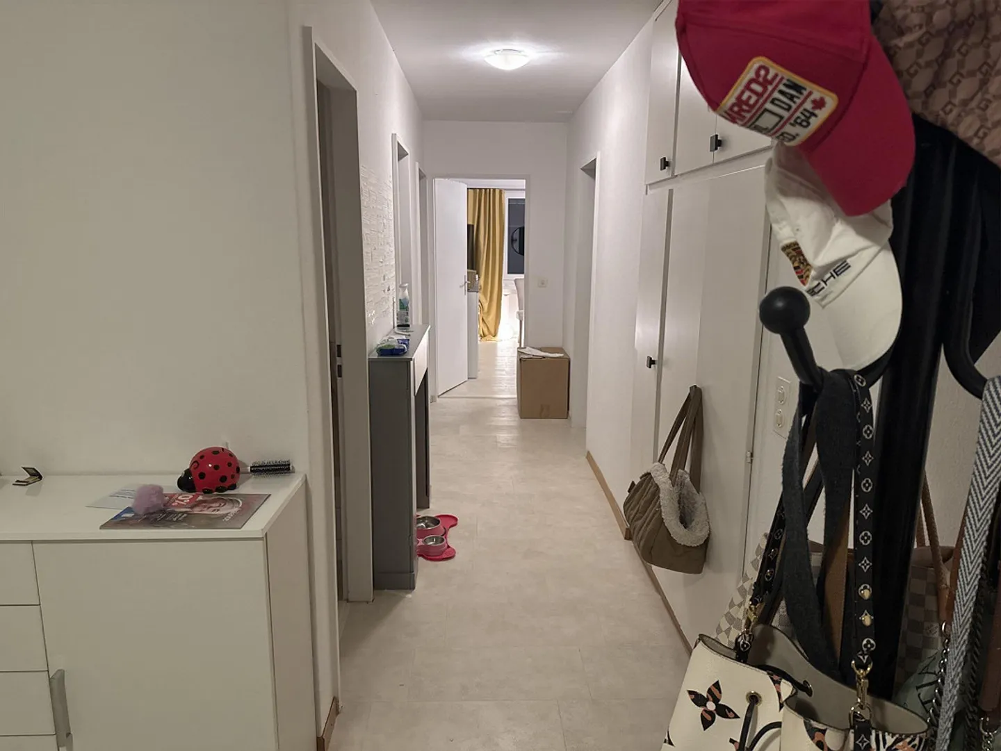 Appartement 2.5 - Photo 5 sur 18