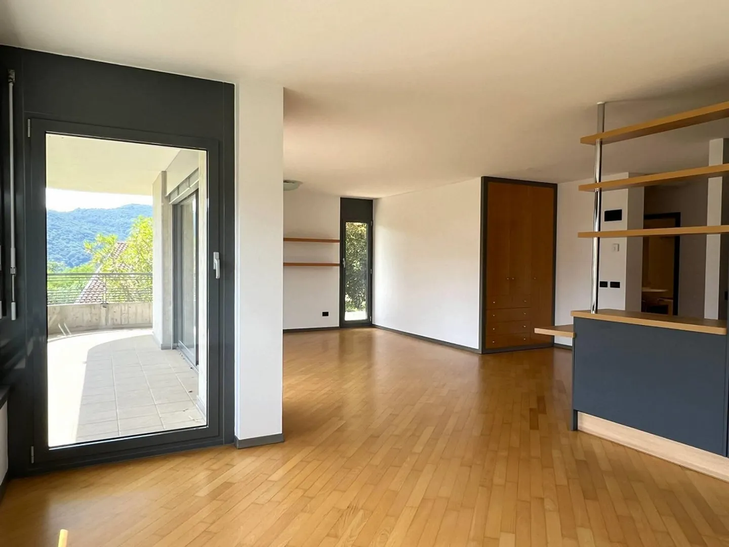 Appartamento - Montagnola - Foto 1 di 10