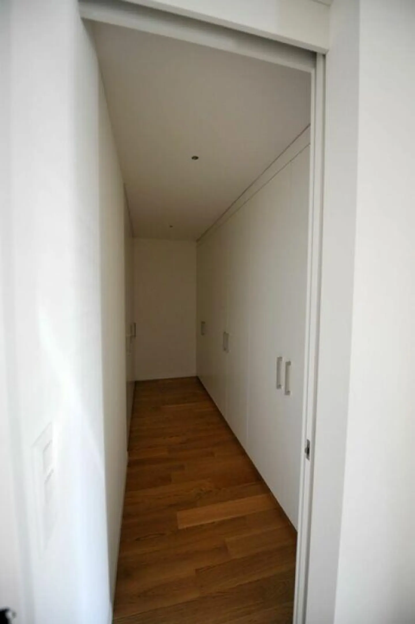 The Attic Dream of Eichfeld Park - Photo 13 of 21