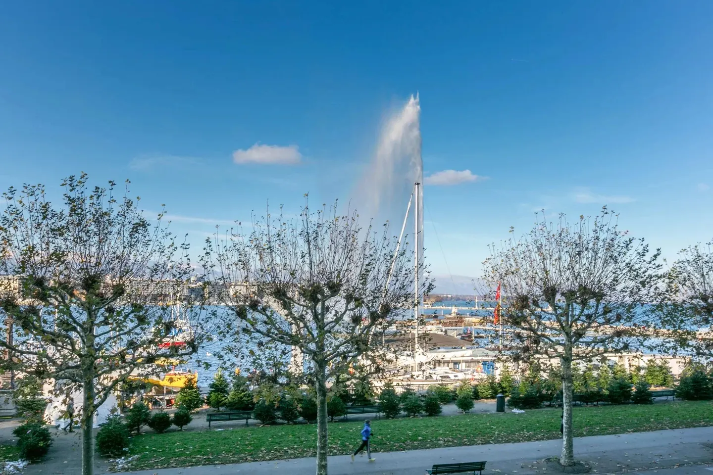 Appartement de Luxe avec Vue sur le Jet d'Eau - Photo 2 sur 2
