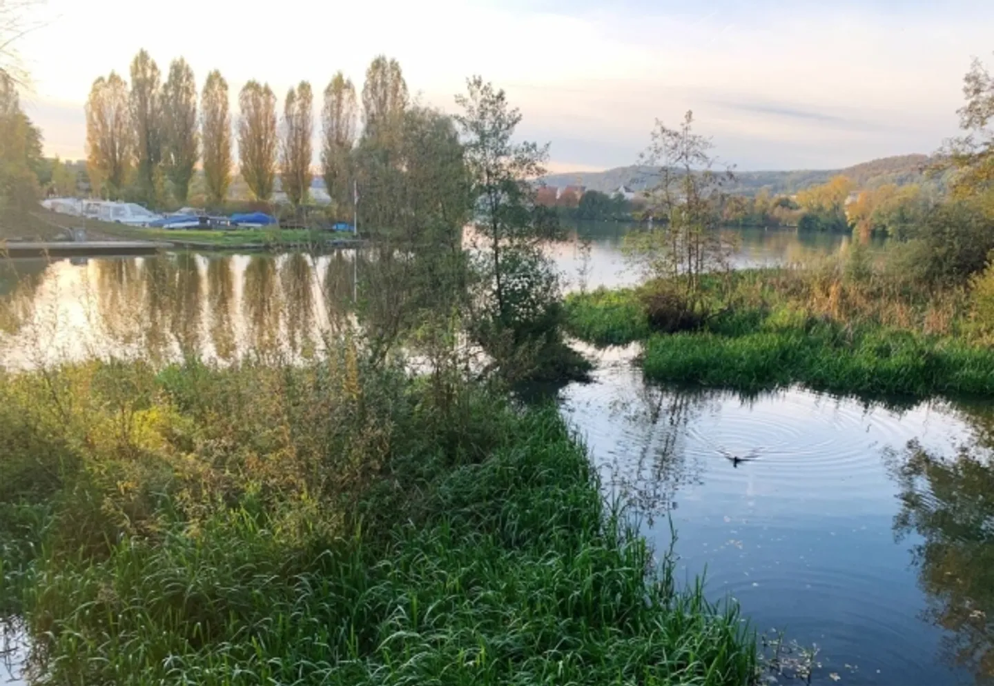 Spacious penthouses with two terraces + beautiful view - Photo 10 of 11
