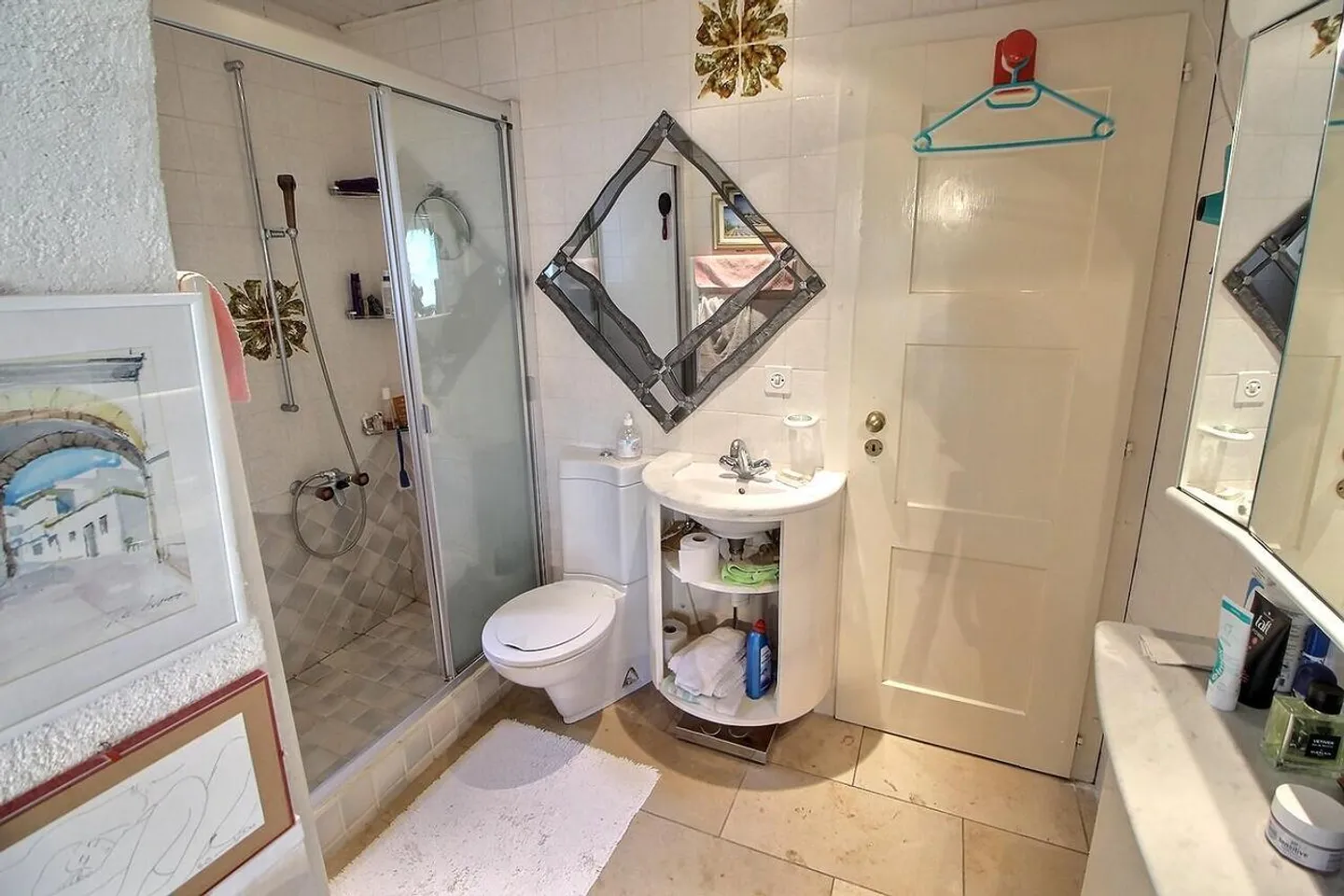 Beautiful single-family house with lake view in viager occupied without rent - Photo 9 of 17