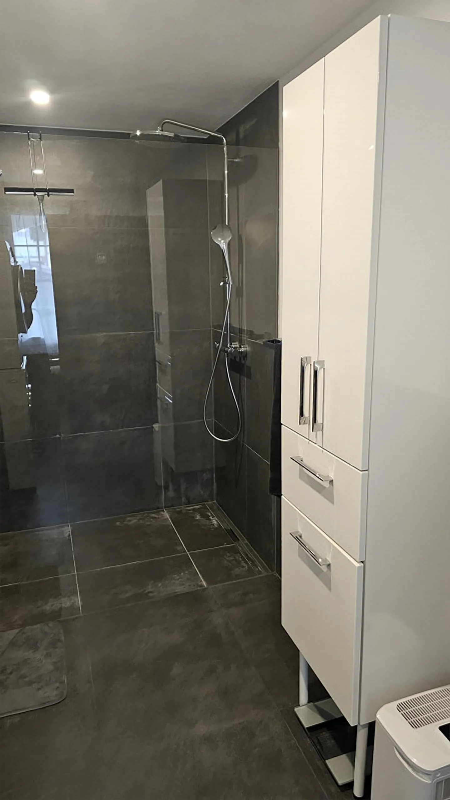 Appartamento 3.5 stanze in affitto - Foto 7 di 10