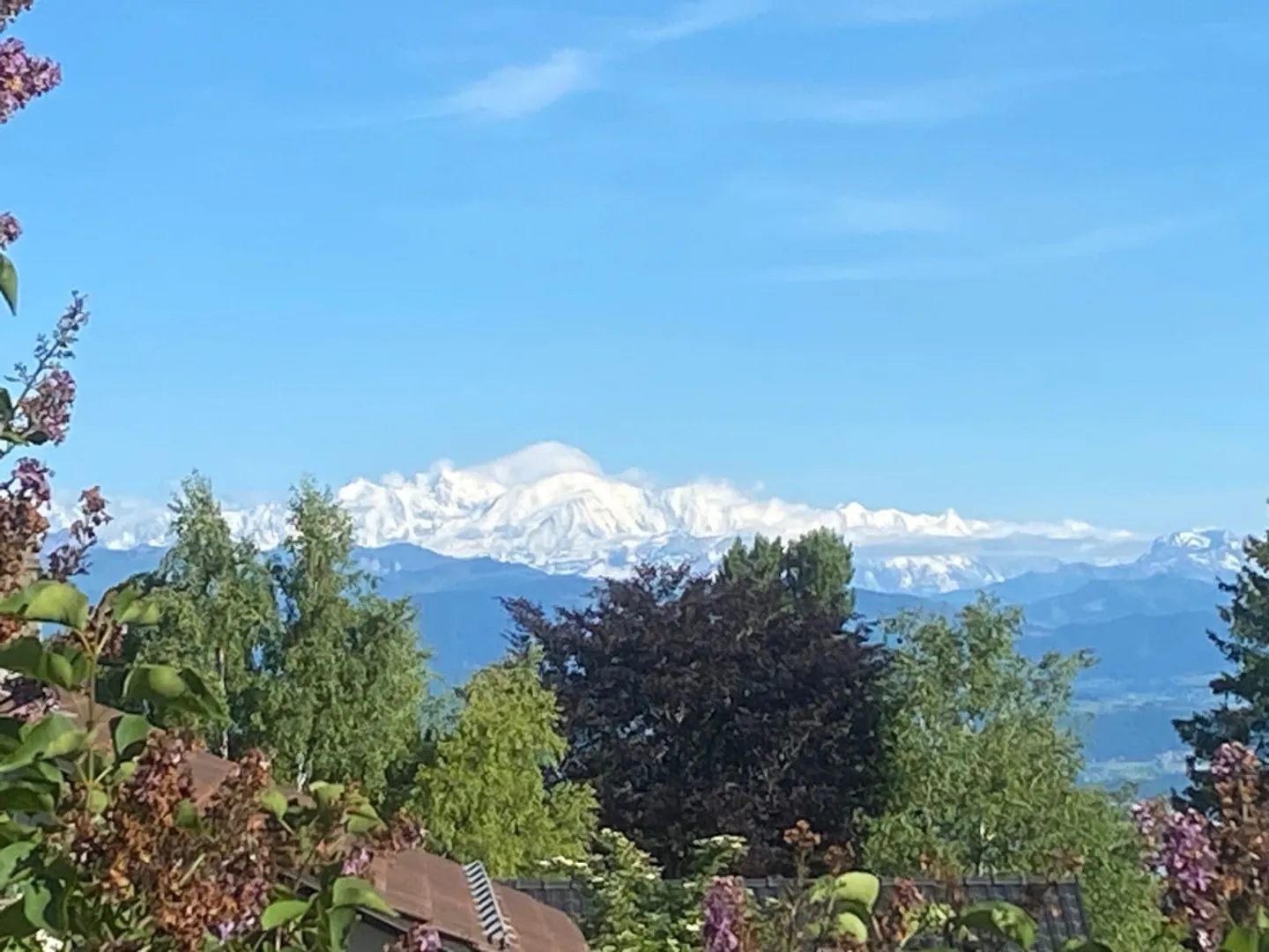 Exclusif : Très belle maison familiale au cœur d'Arzier-Le-Muids - Photo 3 sur 13