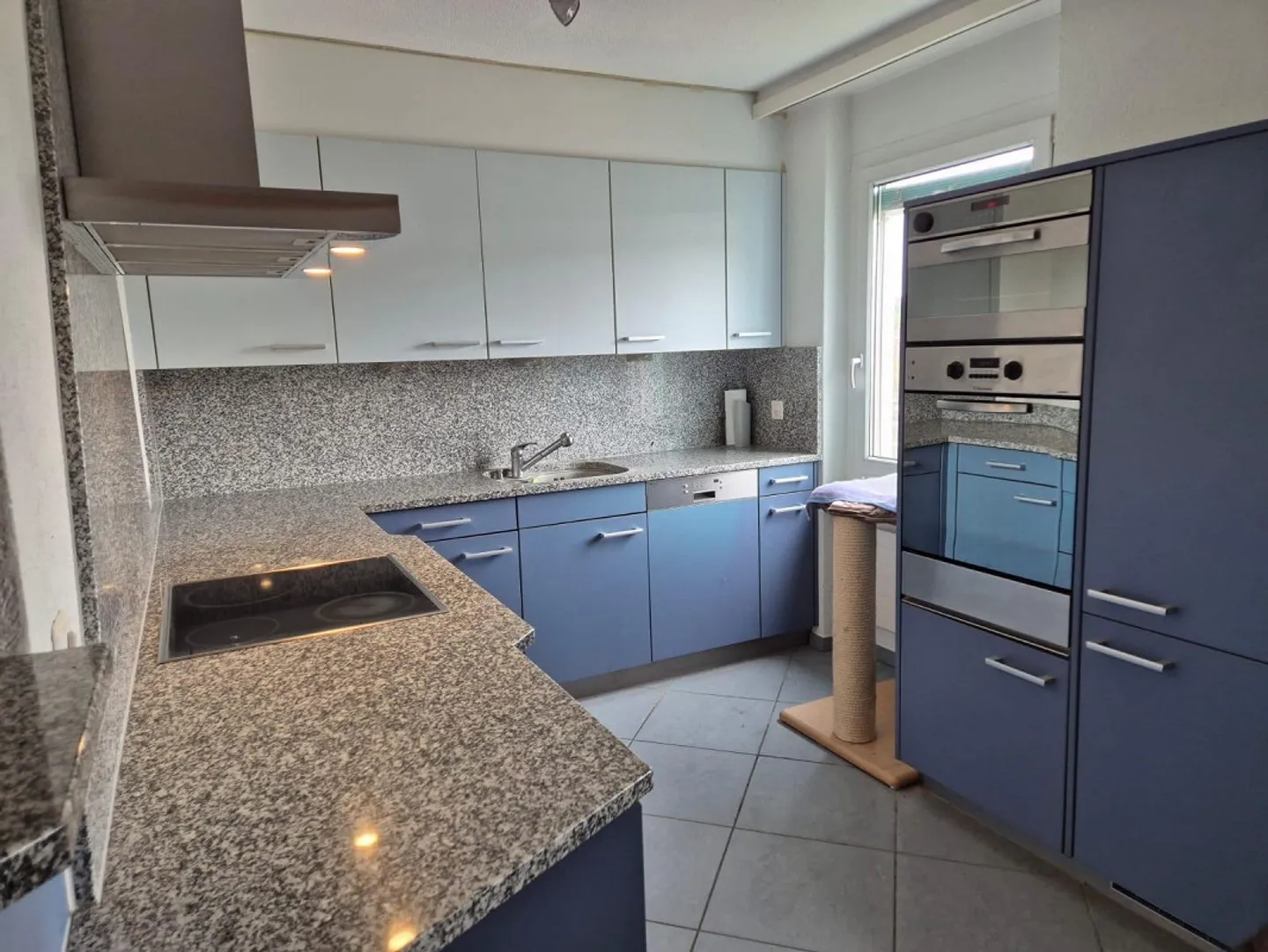 Appartement spacieux de 4,5 pièces avec balcon et vue sur la verdure - Photo 4 sur 12