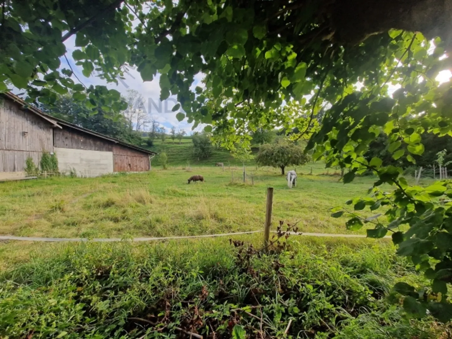 Fattoria ristrutturata affascinante situata in una zona garantita tranquilla - Foto 10 di 16
