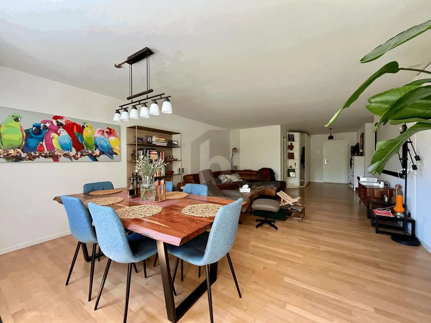 Charming Ground Floor Apartment - Photo 4 of 6