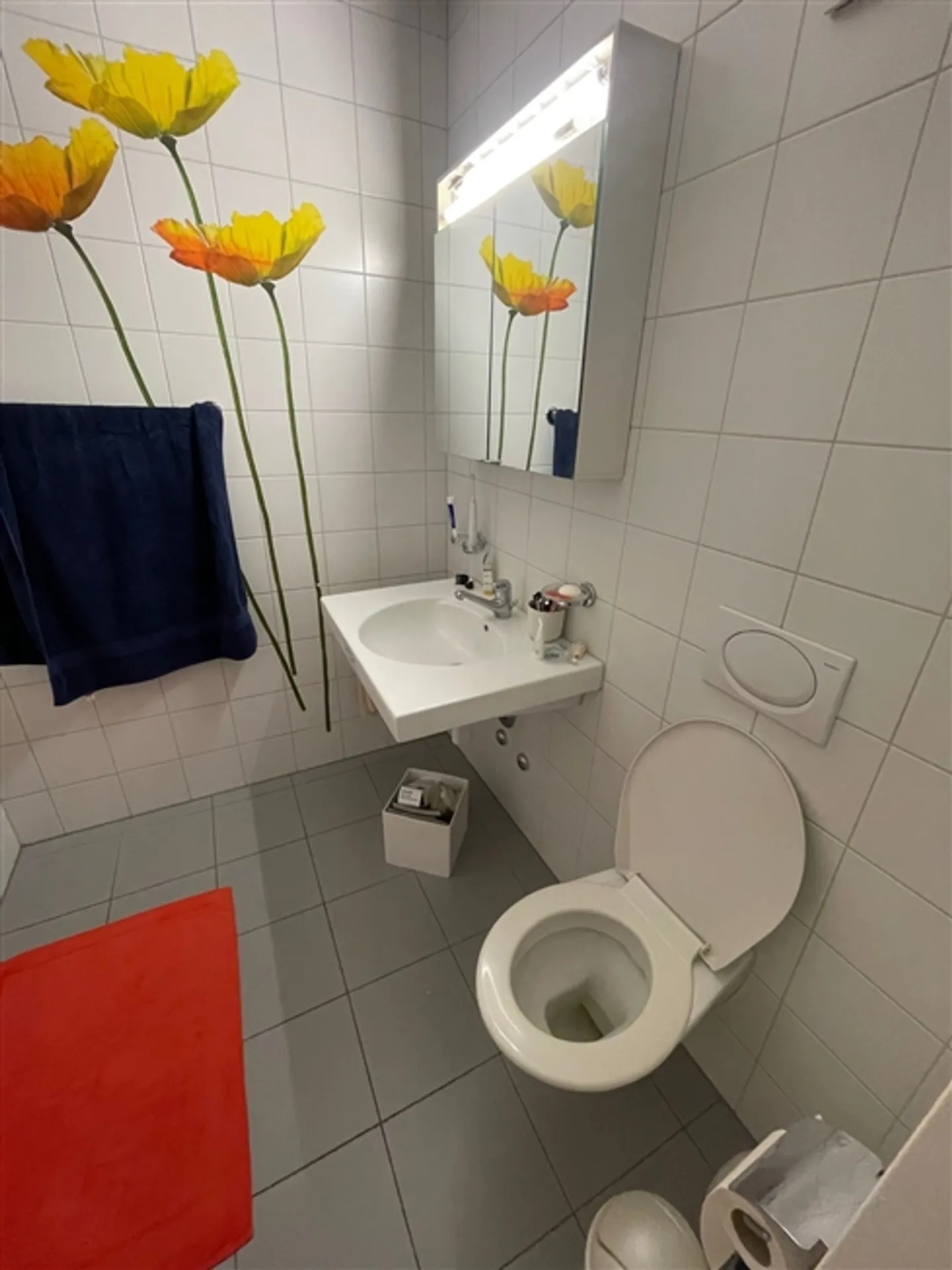 3 ZI-WOHNUNG IN ZÜRICH - KREIS 11 SEEBACH, MÖBLIERT, TEMPORÄR - Foto 7 von 8