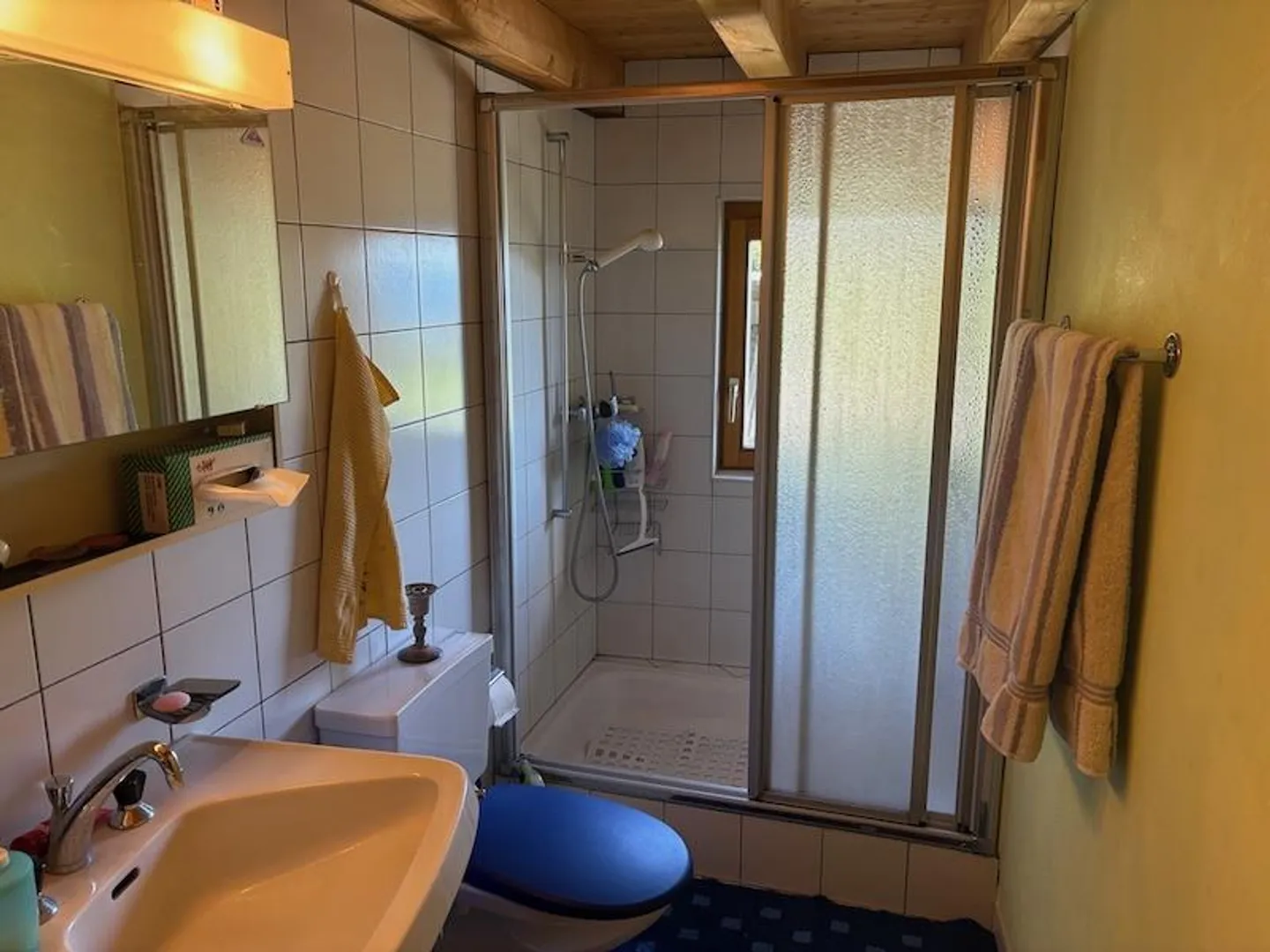 Beautiful Mountain House in Leventina, Ticino - Photo 18 of 23