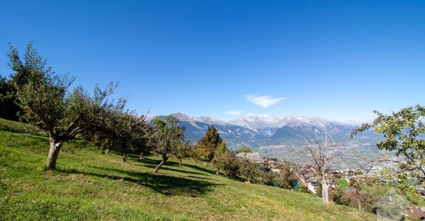 Superb plot of 2,978 m² to build 5 minutes from the slopes - Photo 2 of 5