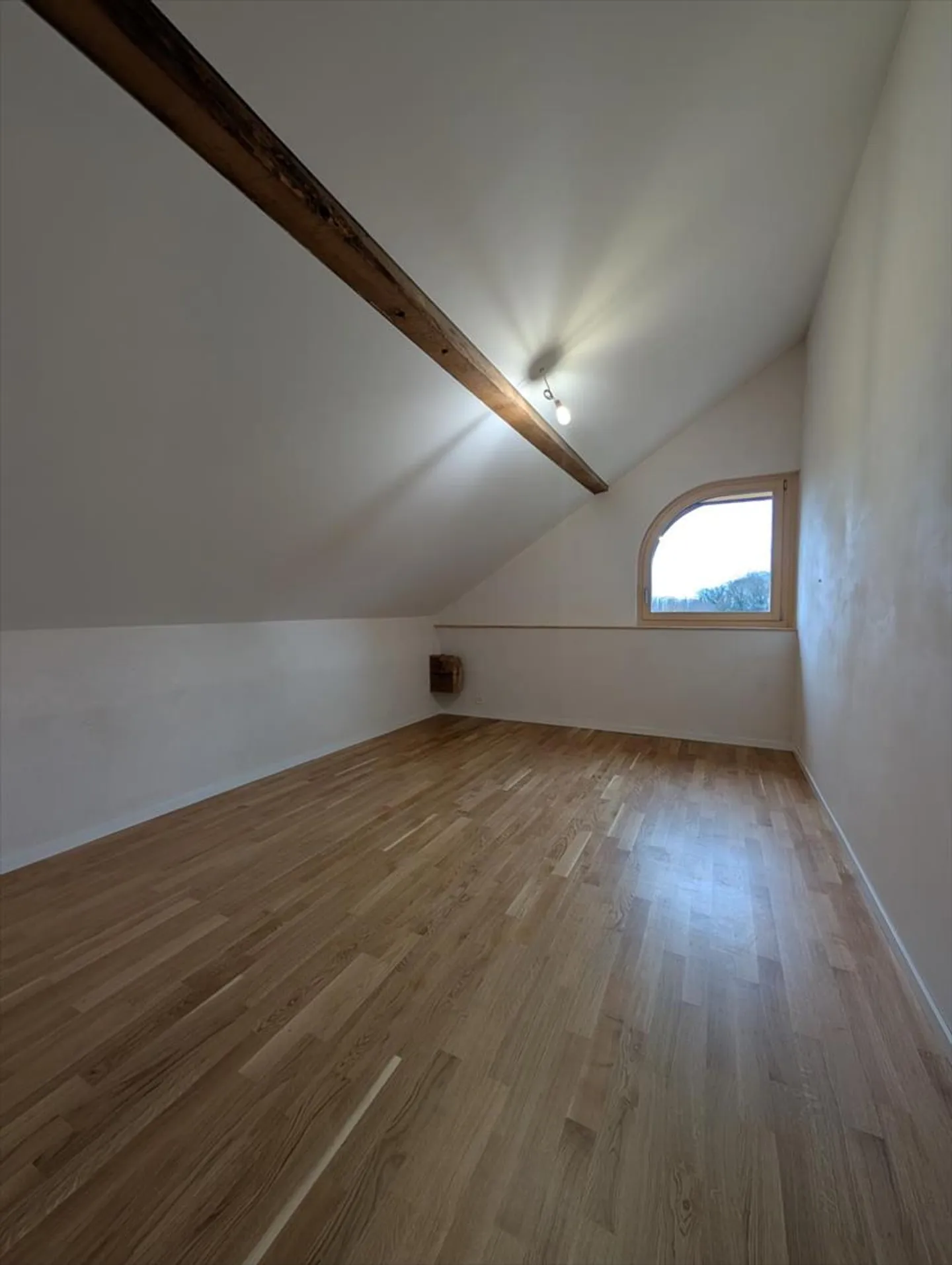 New construction - 3.5 room apartment - Photo 5 of 7