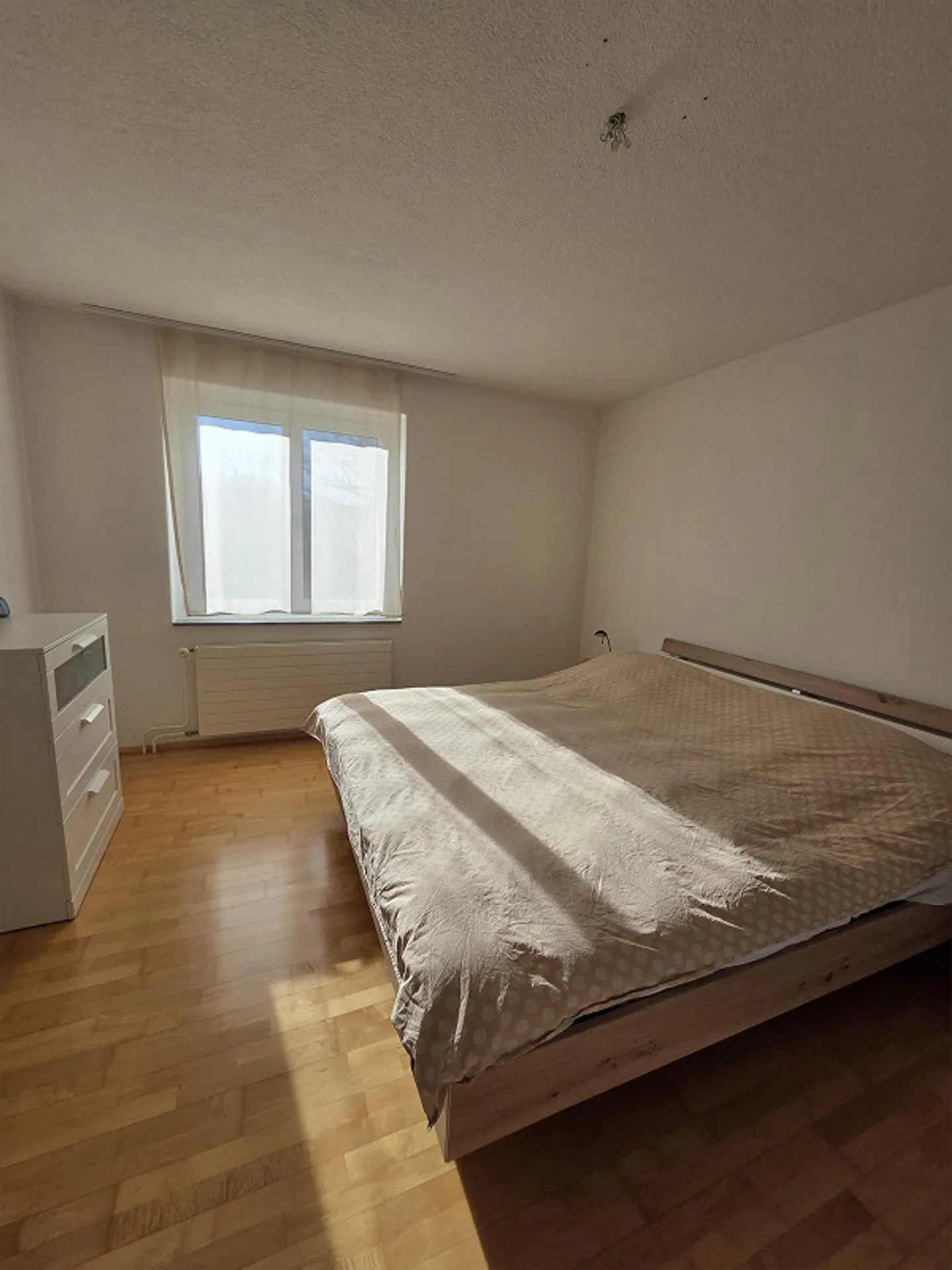 Freshly renovated 3.5 room apartment for rent - Photo 5 of 8