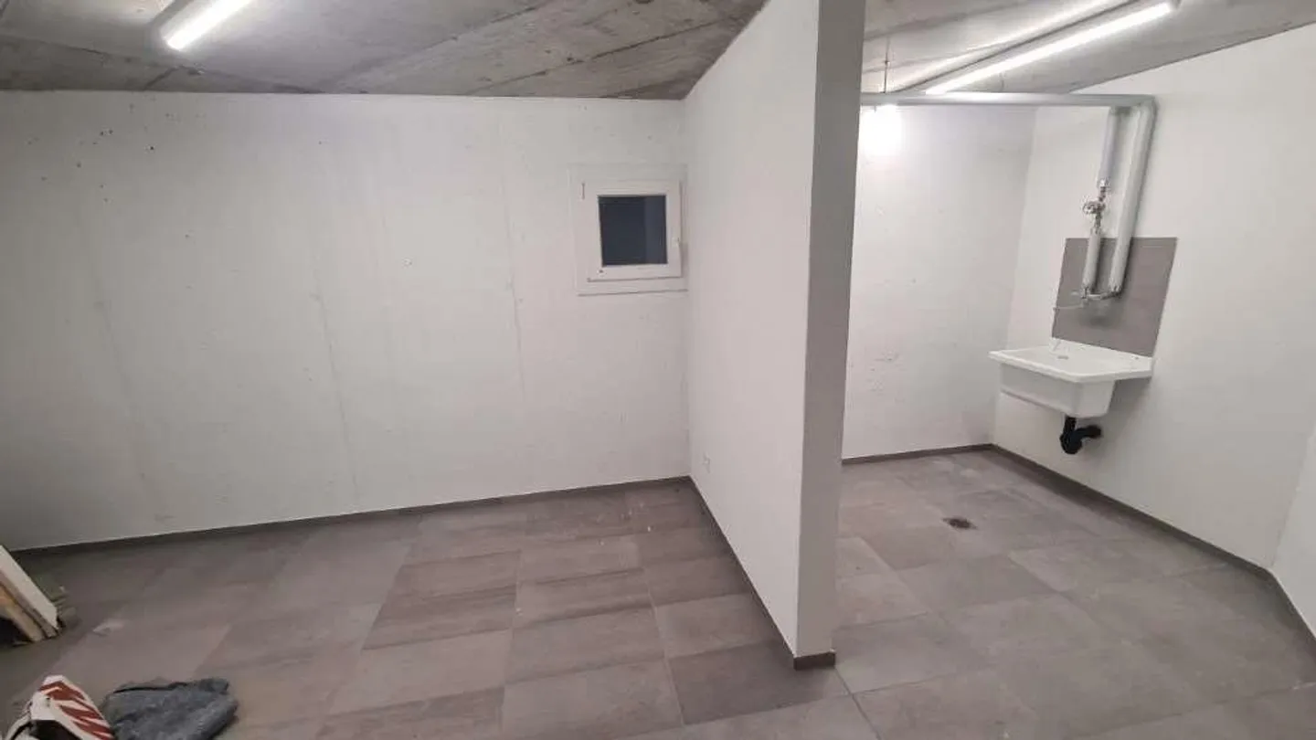 BELLINZONA - LUMINO: NEUE 3.5 ZIMMER MIT GARTEN - Foto 10 von 10