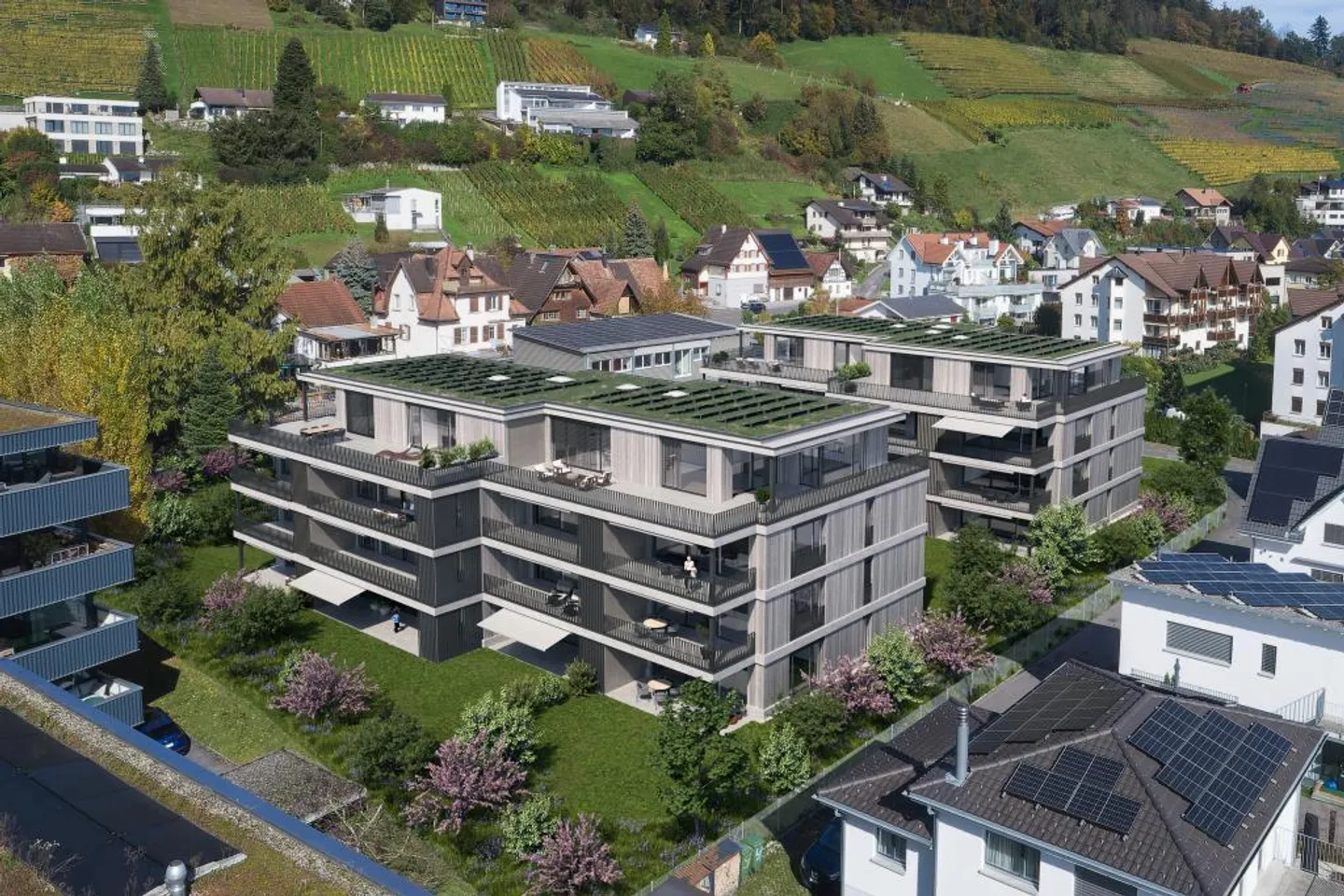 Stilvolle Wohnungen in Balgach - Foto 1 von 6