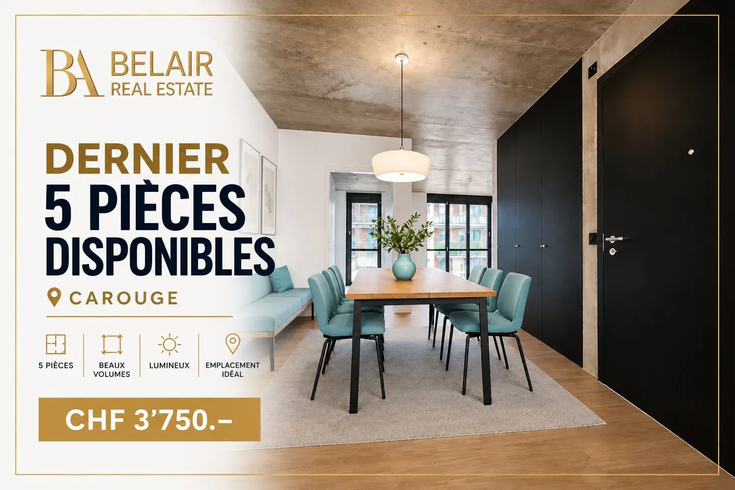 Nuovo appartamento 5 locali a Carouge - Foto 1 di 1