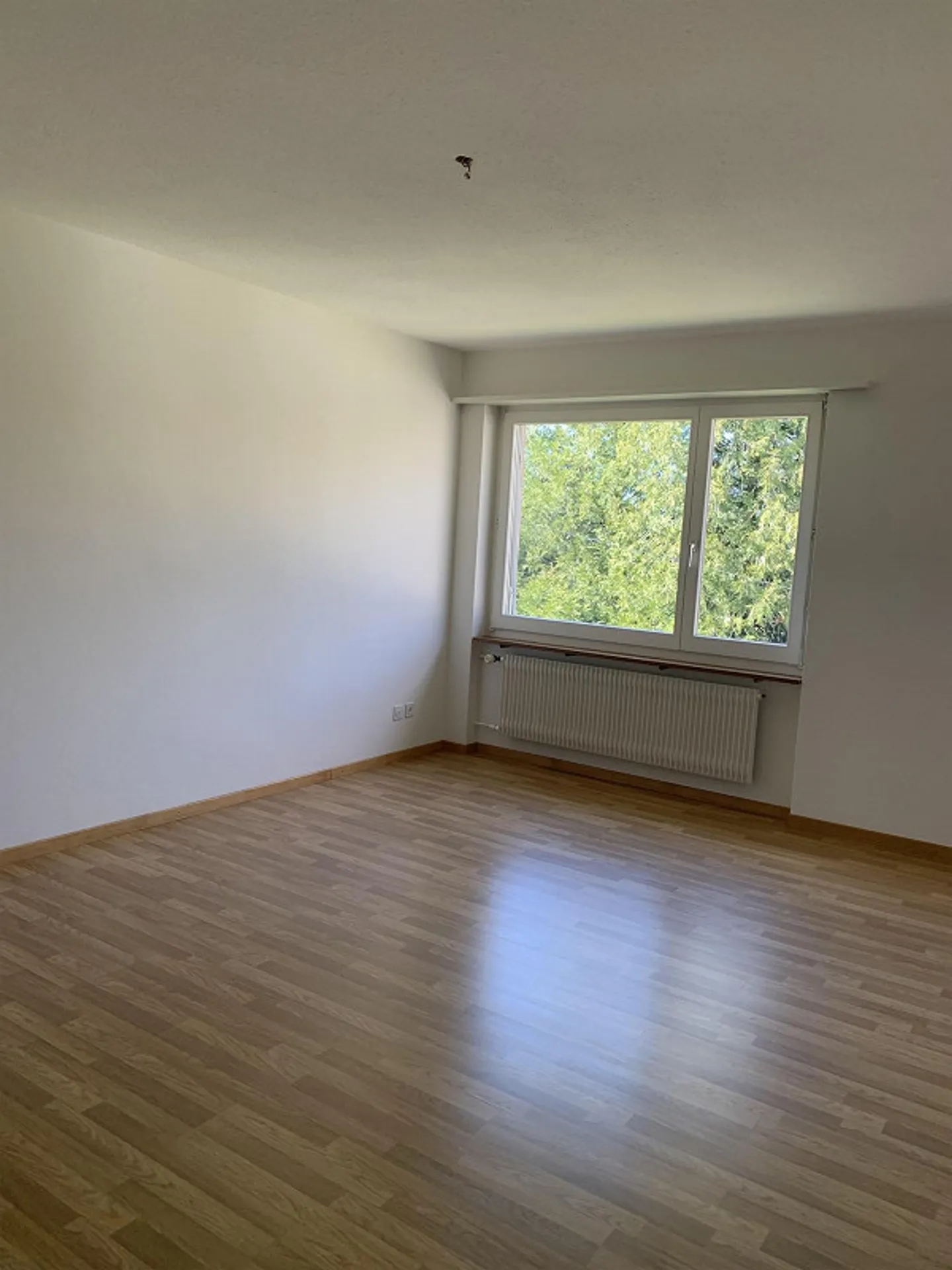 Vicino alla città vecchia - Foto 6 di 12