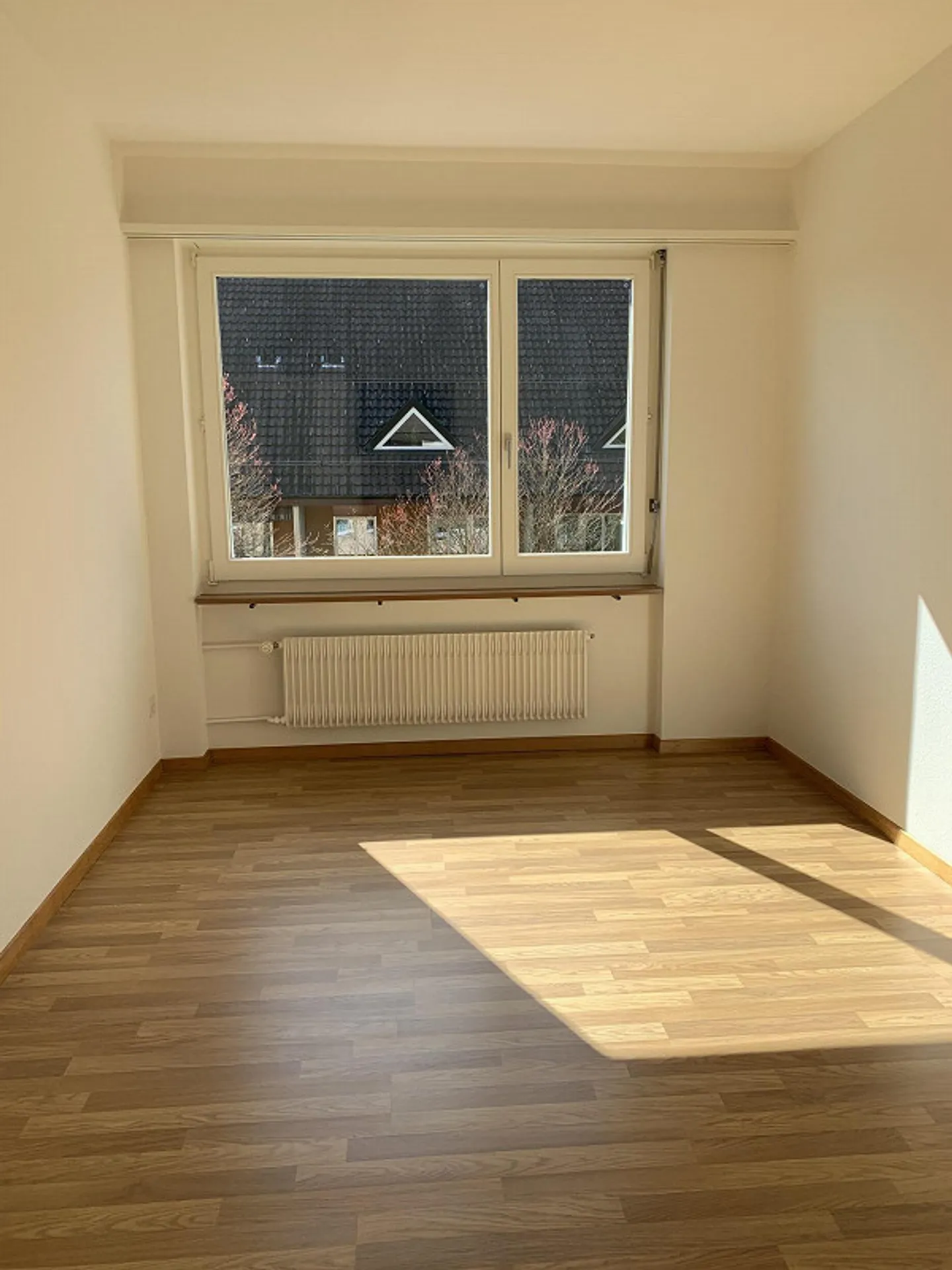 Vicino alla città vecchia - Foto 7 di 12