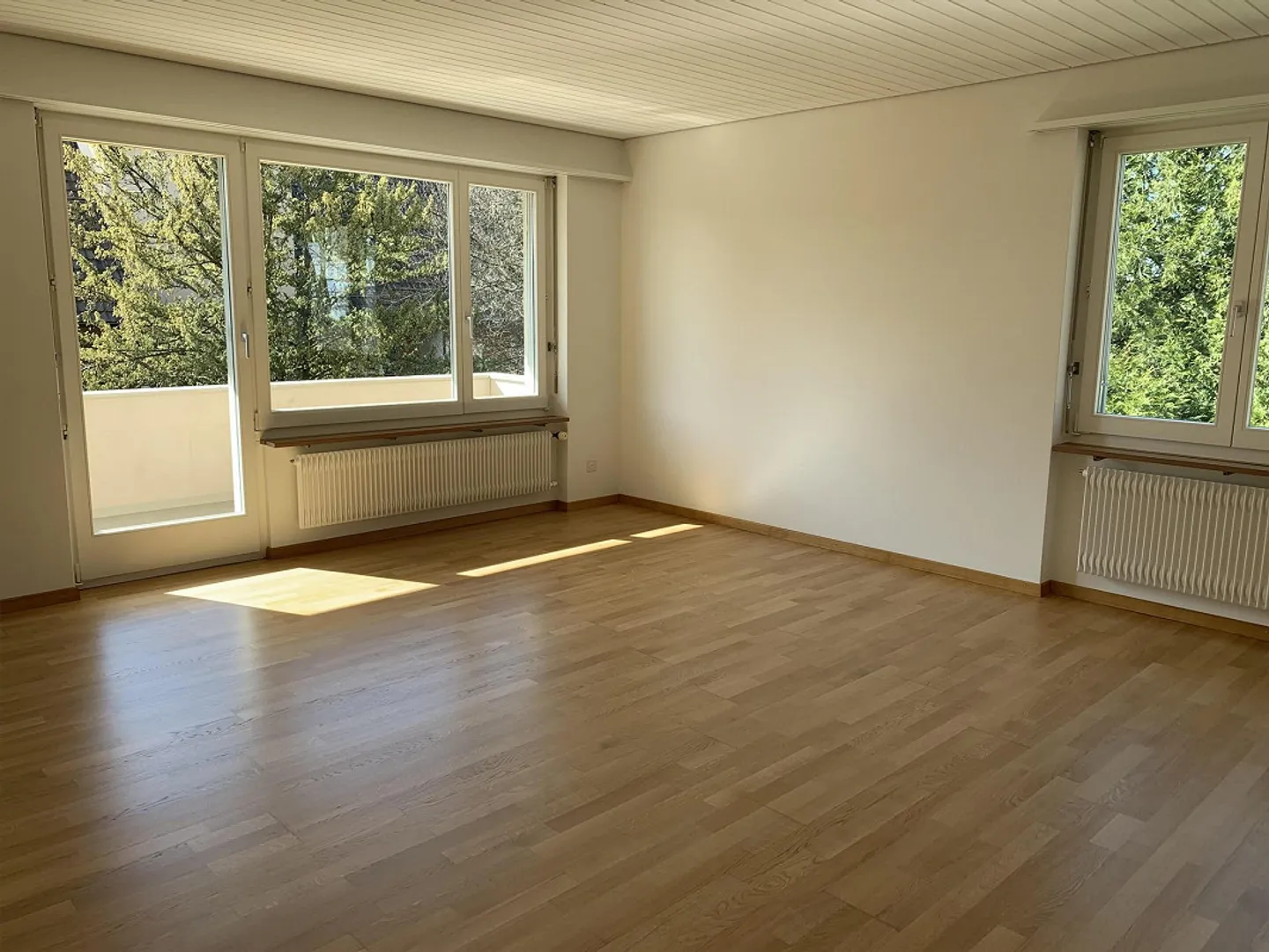 Vicino alla città vecchia - Foto 4 di 12