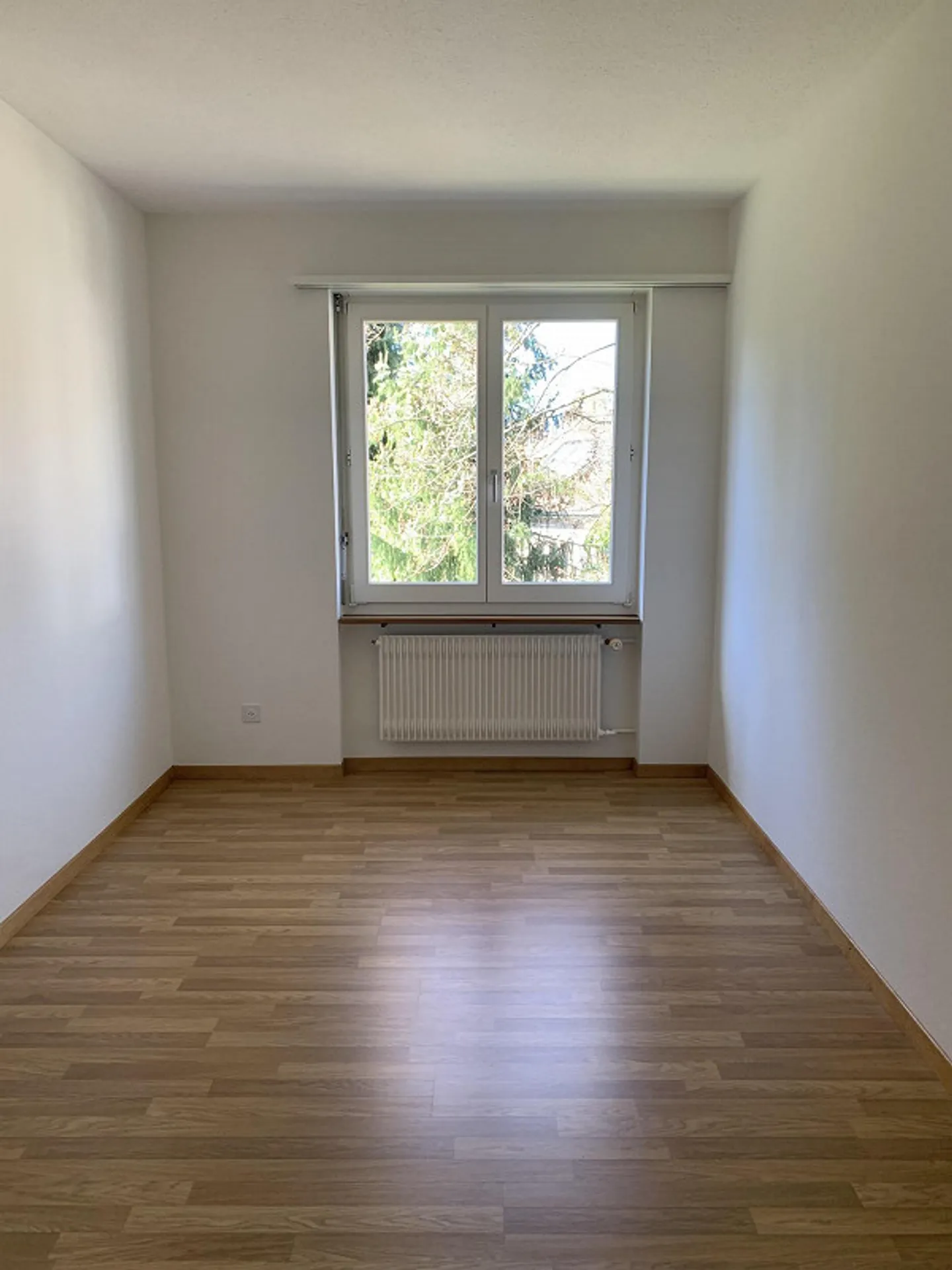 Vicino alla città vecchia - Foto 5 di 12