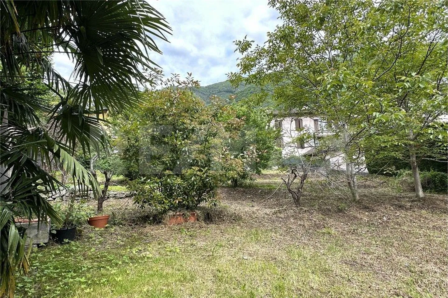 Terreno edificabile a Minusio - Foto 7 di 13