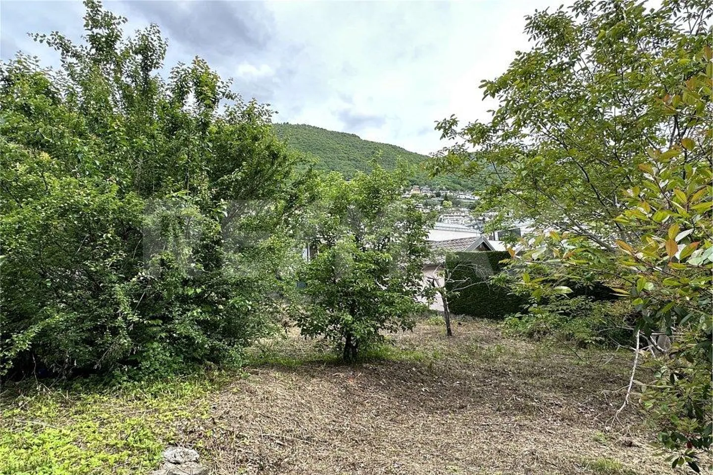 Terreno edificabile a Minusio - Foto 10 di 13