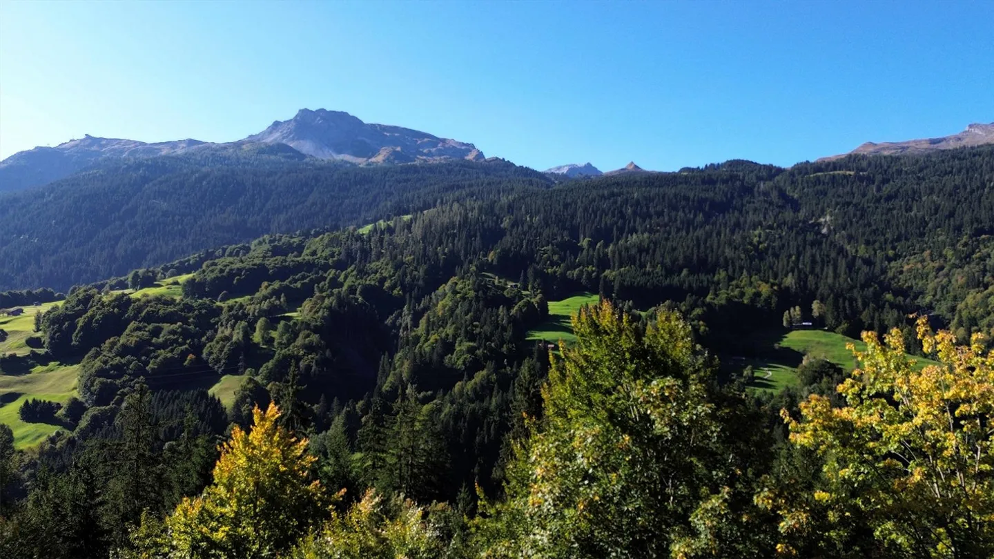 Einfamilienhaus "Waldhüsli" - Foto 14 von 14