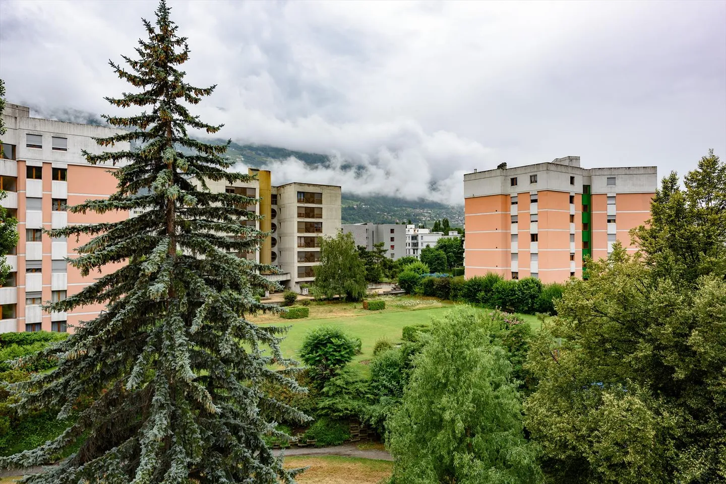 Quartier verdoyant - Photo 1 sur 13