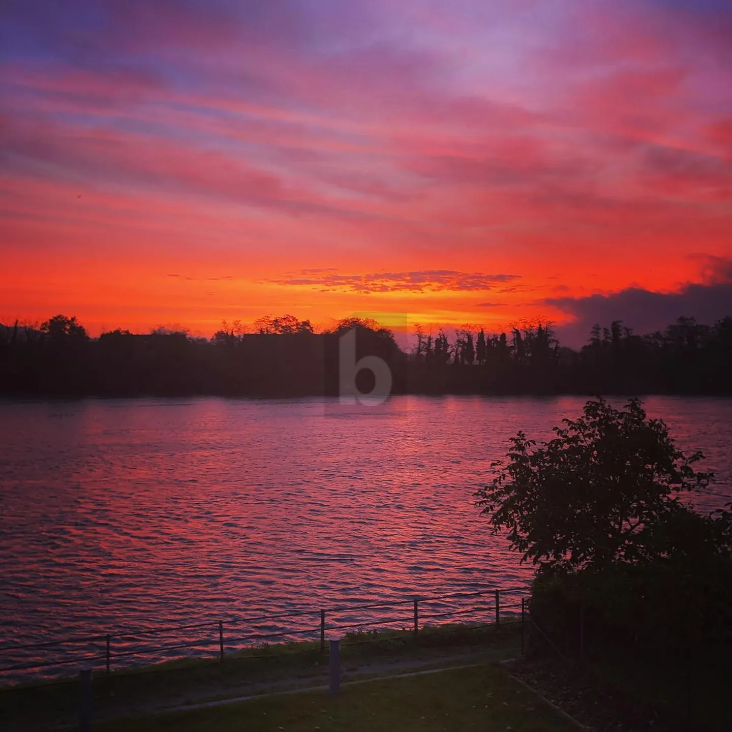 HELL UND MODERN, DIREKT AM RHEIN - Foto 5 von 6