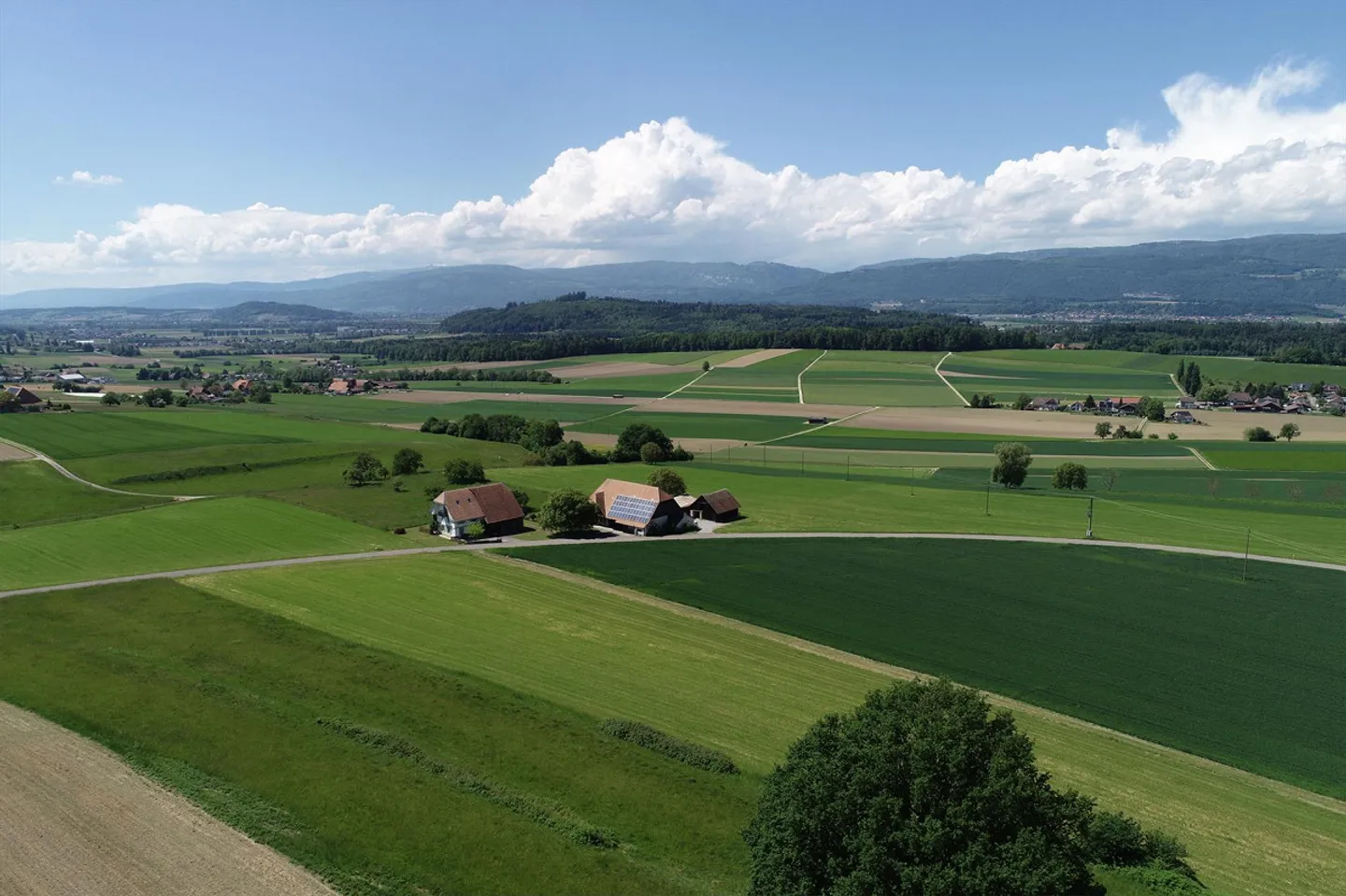 Farmhouse in idyllic location with 2 apartments and development potential - Photo 3 of 10