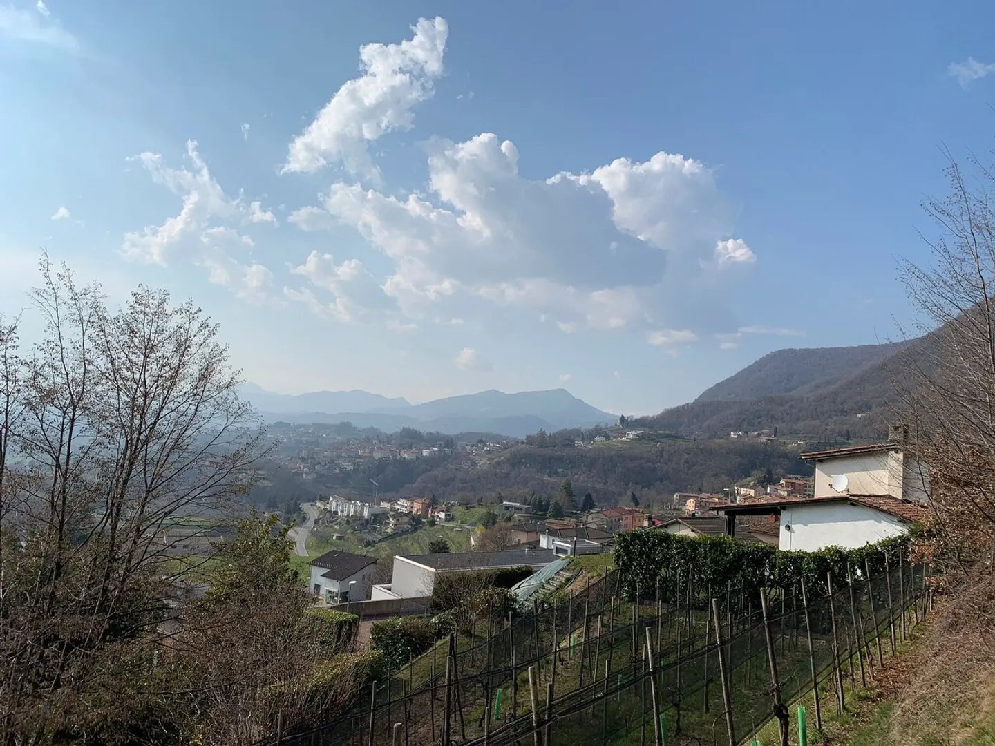 Terreno edificabile soleggiato - Foto 4 di 5