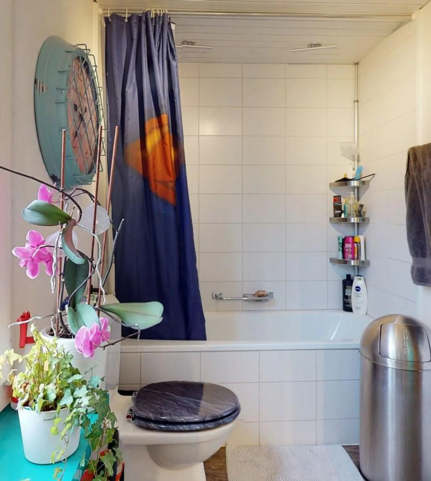 Historisches Familienhaus - Foto 16 von 19