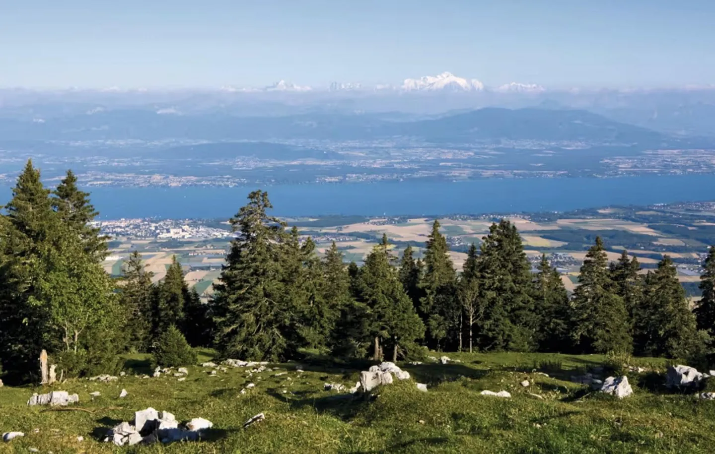 In vendita: Casa di 4 appartamenti, recentemente ristrutturata, a St-Cergue - Foto 5 di 18