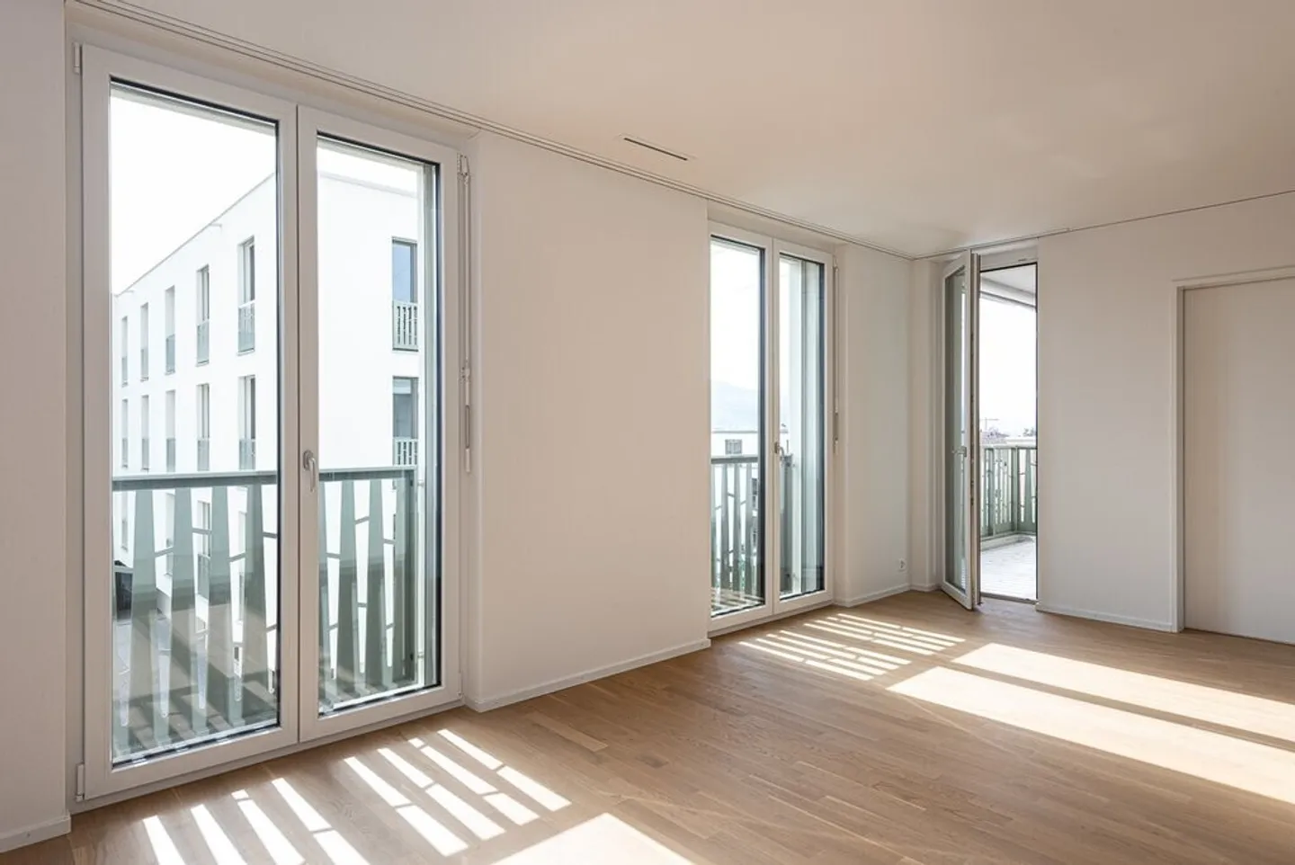 NEL CAMPO DI FARNI - il mio Jona, la mia casa - Foto 4 di 7