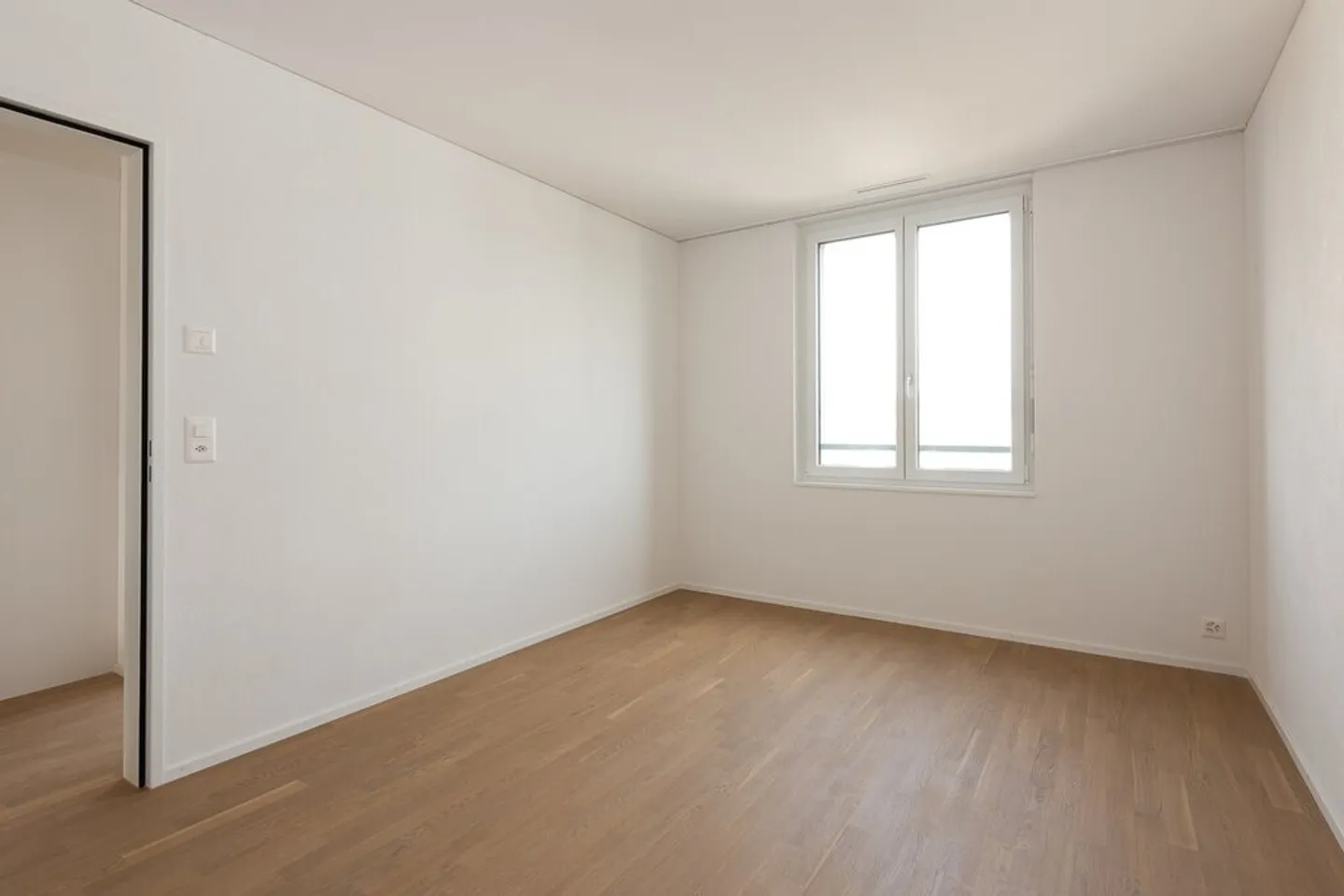 NEL CAMPO DI FARNI - il mio Jona, la mia casa - Foto 5 di 7