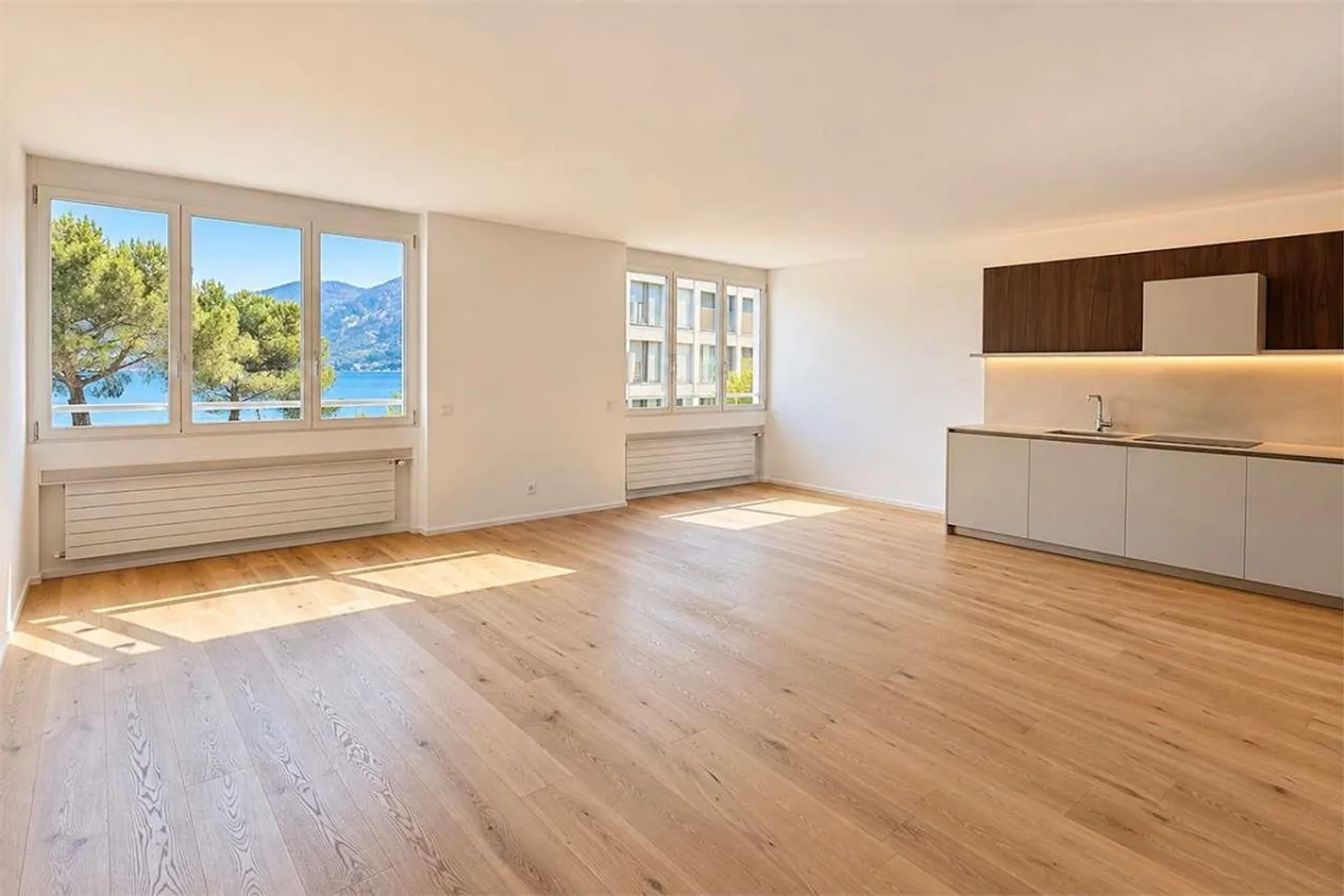 Appartement lumineux de 2,5 pièces avec vue sur le lac à Paradiso - Photo 1 sur 10