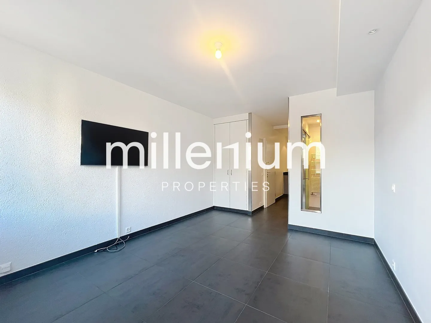 Appartamento bilocale a due passi dal Lago di Ginevra - Foto 5 di 8