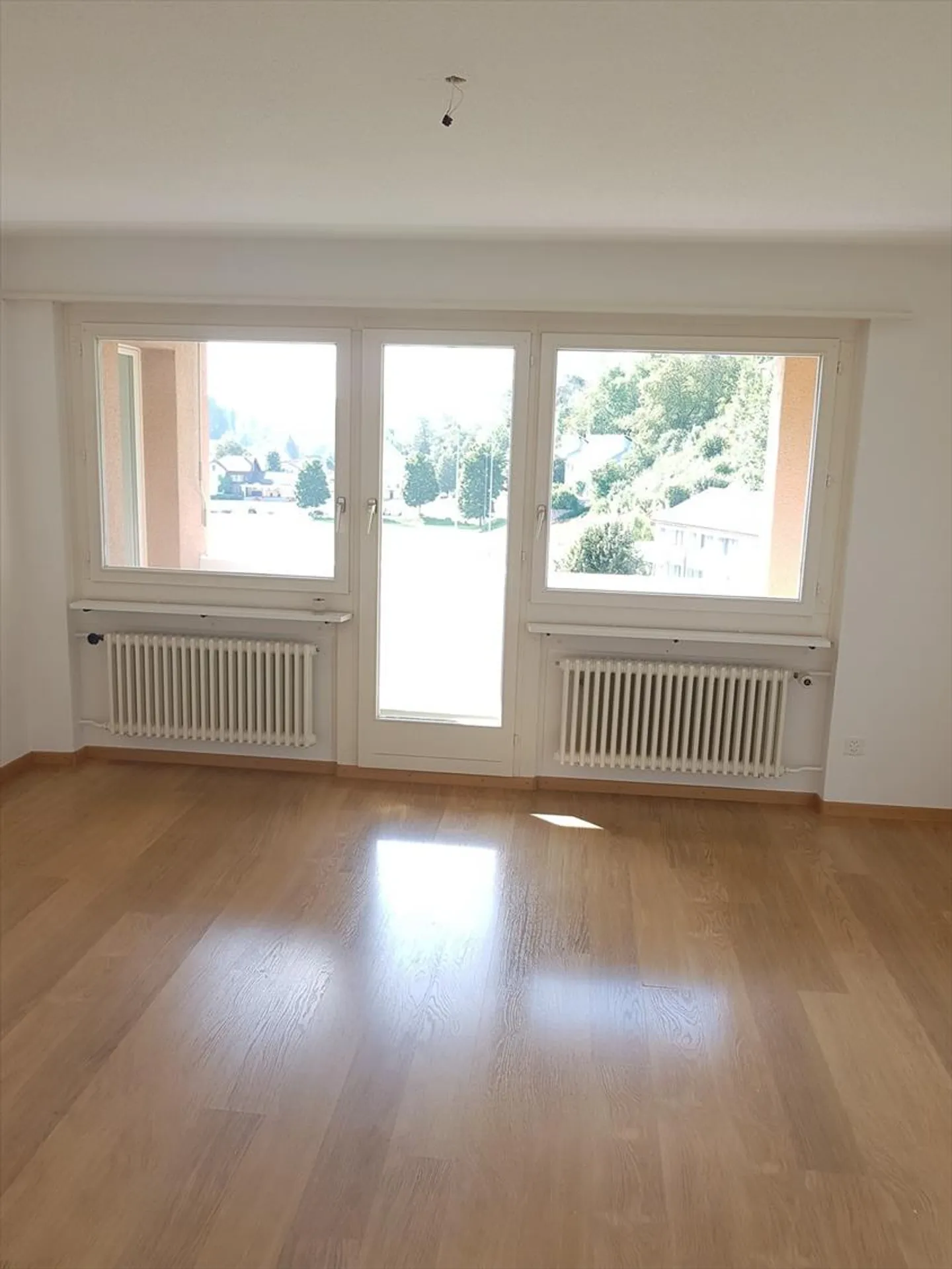 Direct hit! - Photo 4 of 10